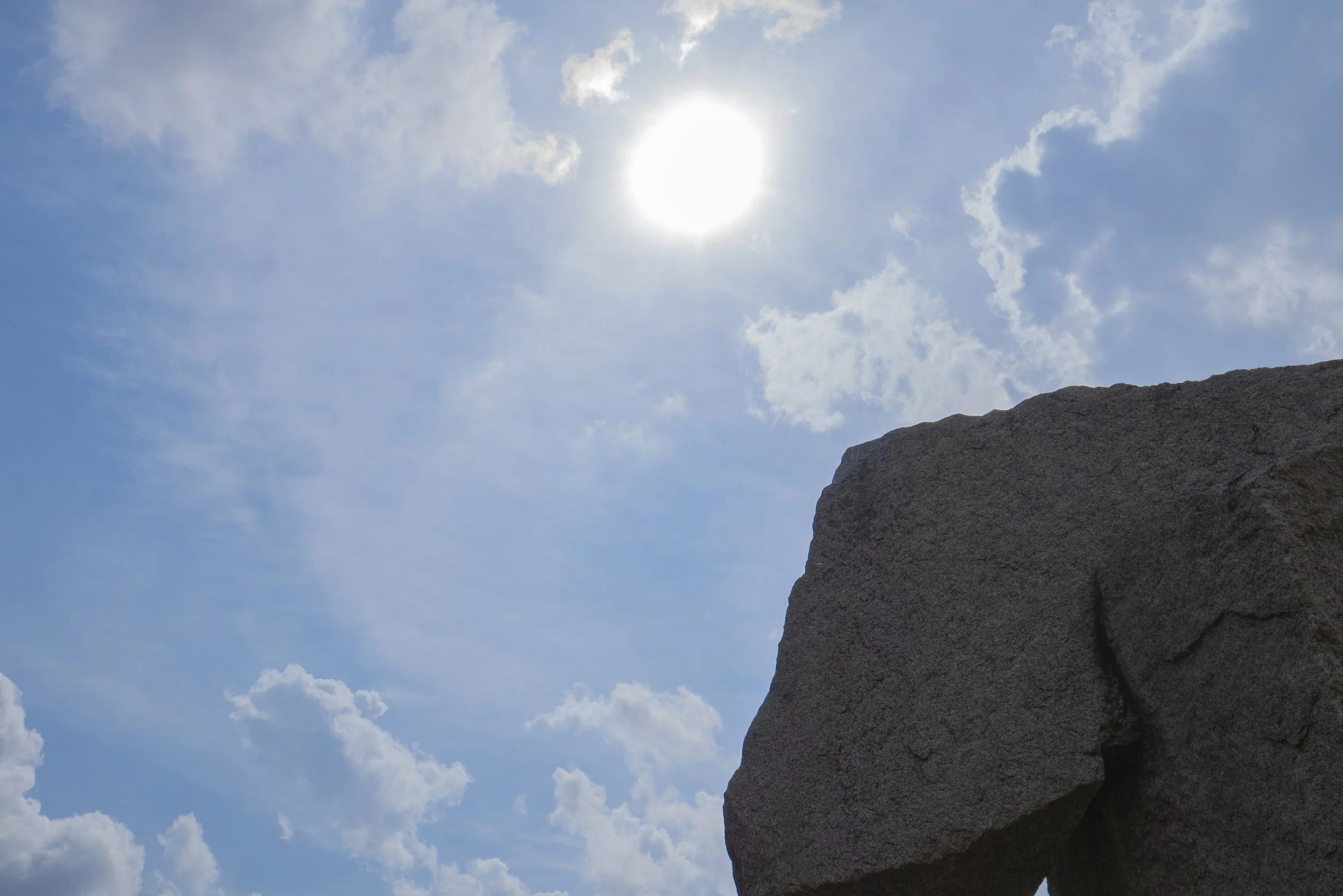 _1010844 copy.jpg