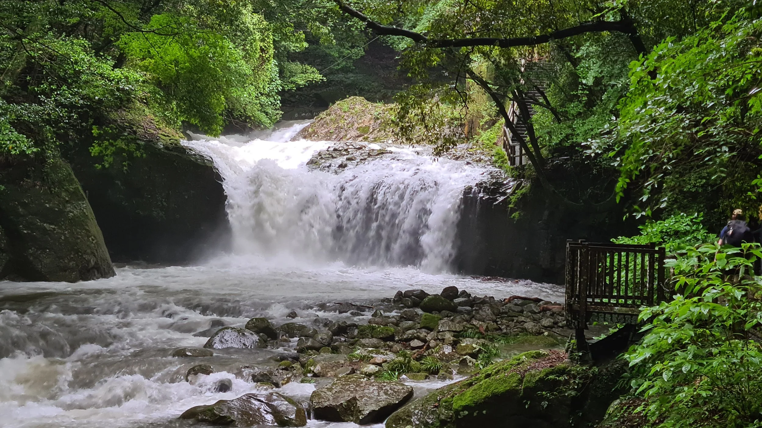 A waterfall flowing over rocks in a lush, green forest with trees and foliage surrounding it, and a wooden staircase on the right side leading into the forest.