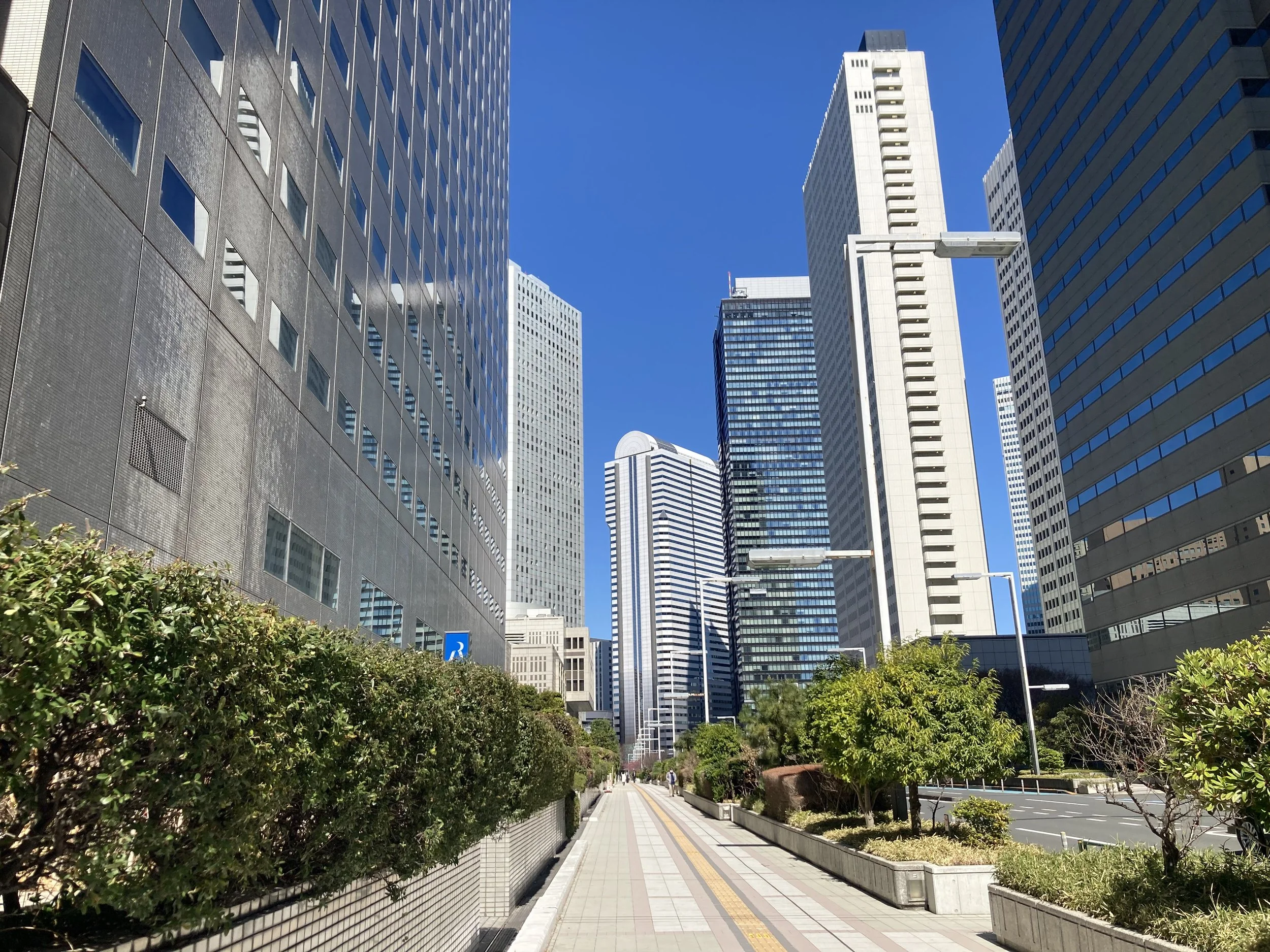 City street lined with tall skyscrapers on both sides, with a sidewalk and greenery in the foreground, under a clear blue sky.