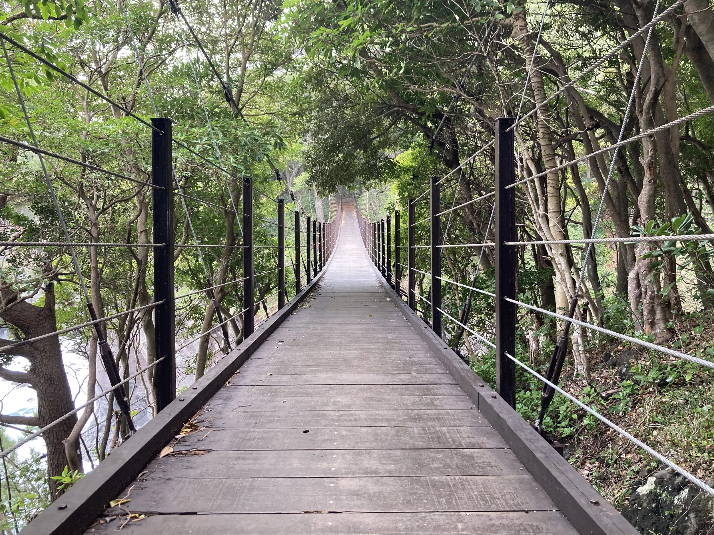 A wooden suspension bridge crossing over a river, surrounded by dense green trees.