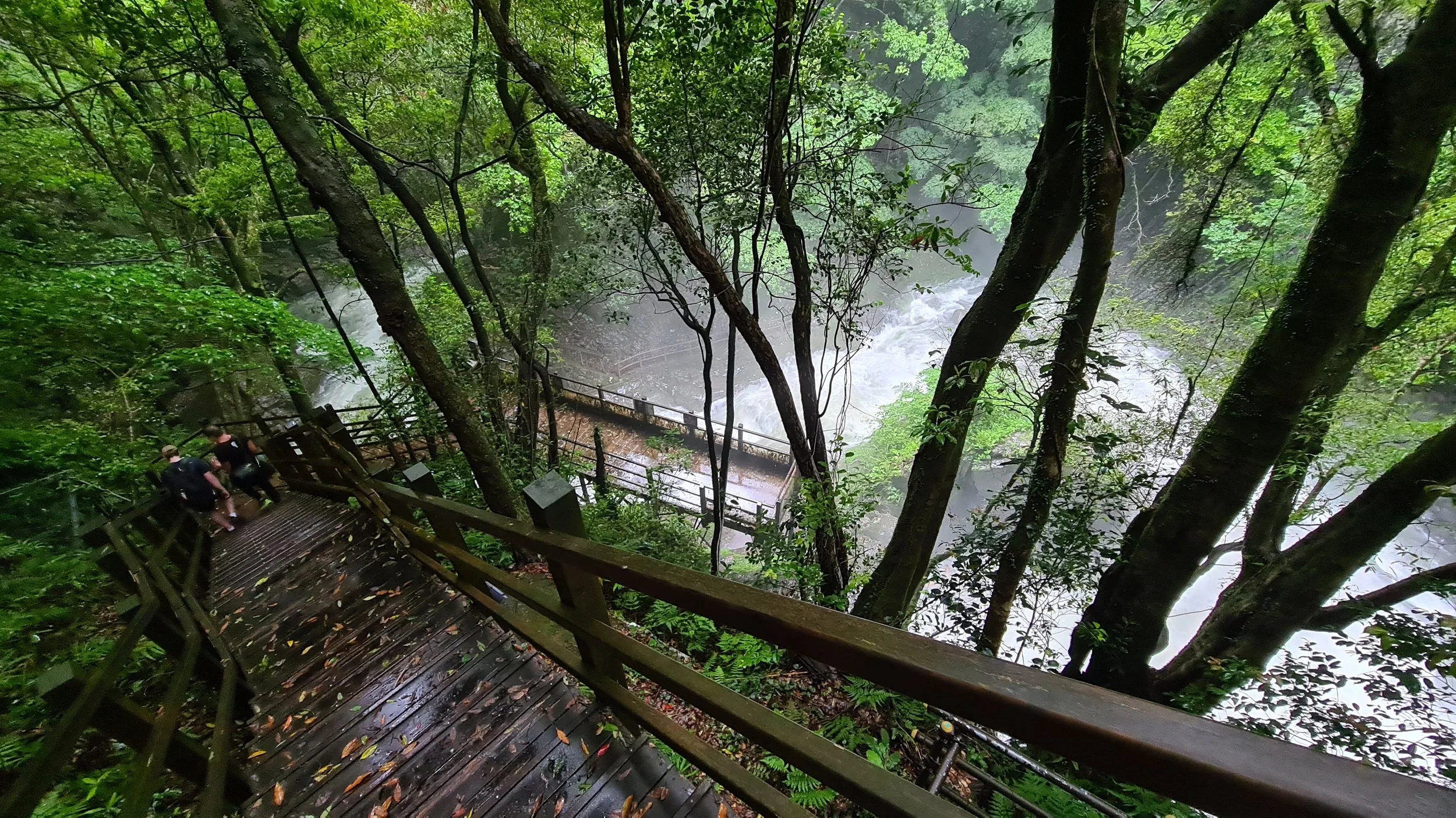 Two people walking on a wooden trail in a lush green forest next to a river or waterfall.