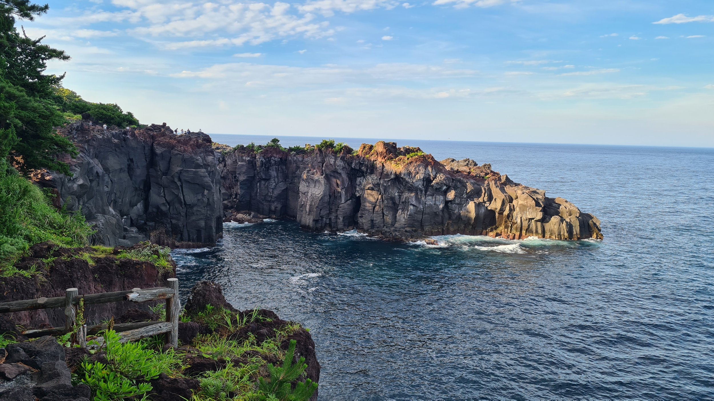 Ocean waves crashing against rocky cliffs with greenery in the foreground and a partly cloudy sky above.