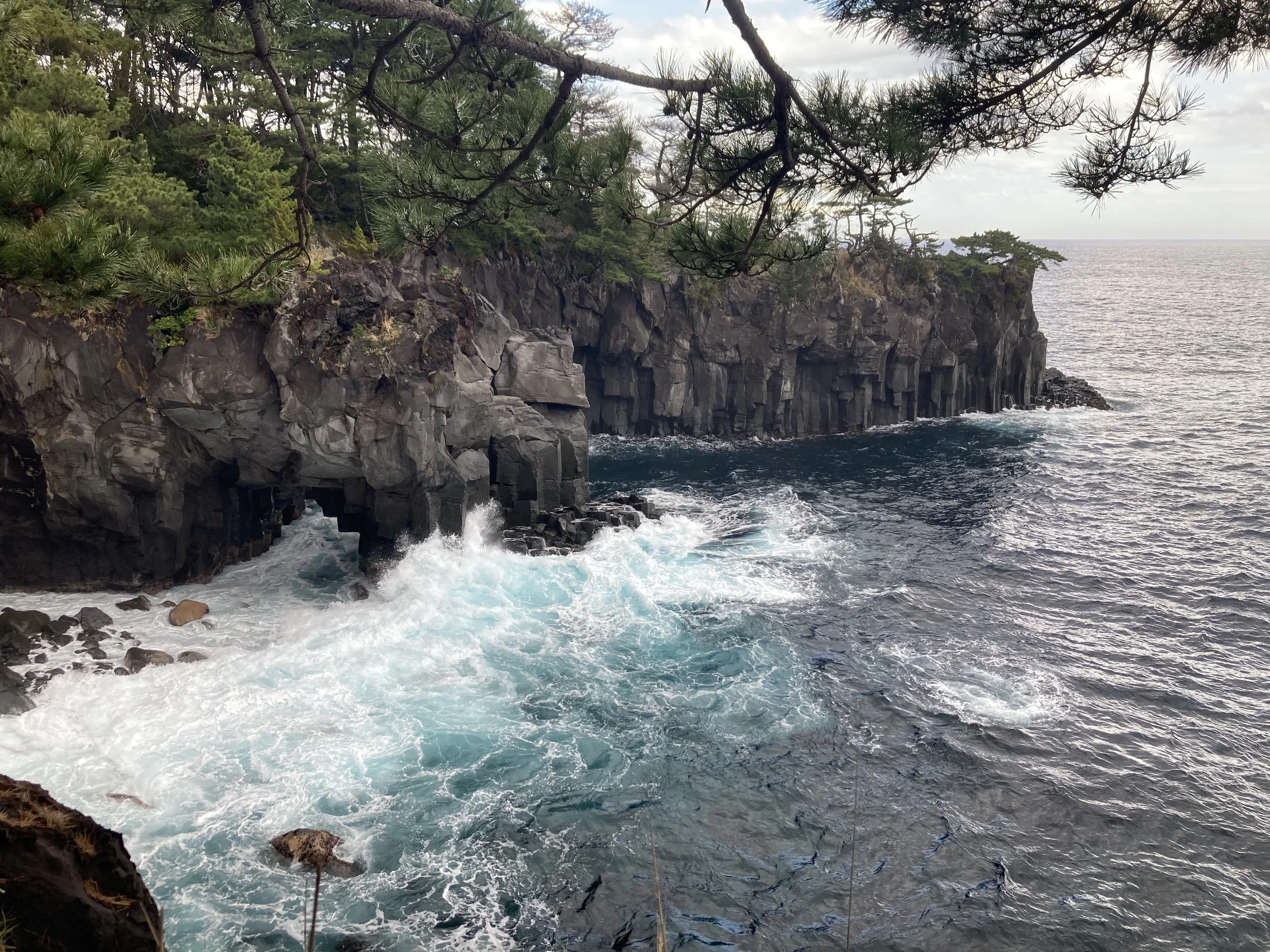 Rocky coastline with waves crashing against dark rocks, overhanging trees, and an ocean view extending to the horizon.