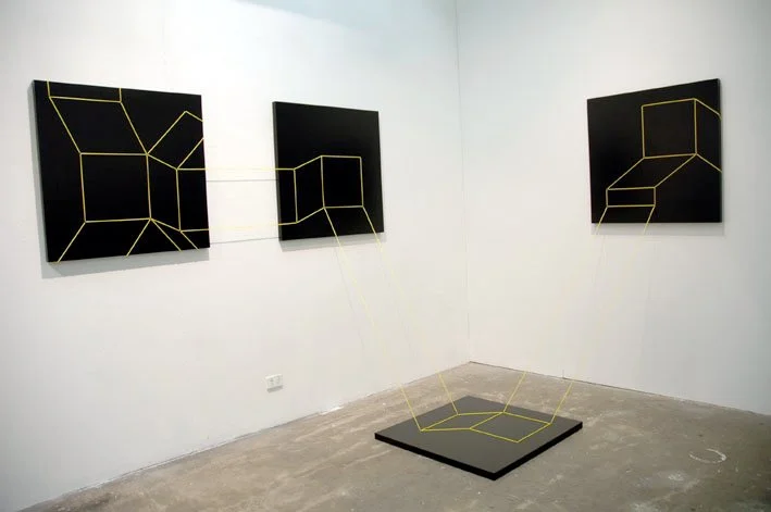 Fold, 2005
Acrylic on plywood, vinyl cord, 1m panels