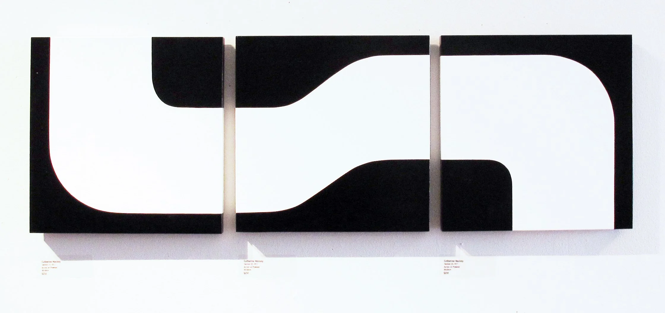 Sections 1,2,3, 2012
Acrylic on plywood, 20 x 60cm