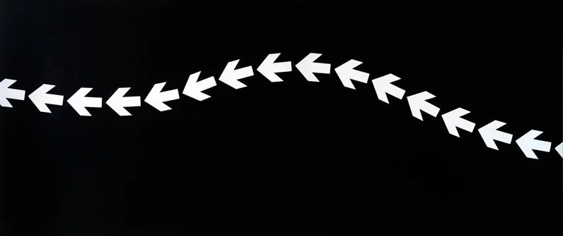 Spine, 2013
Acrylic on door, 80cm x 2m