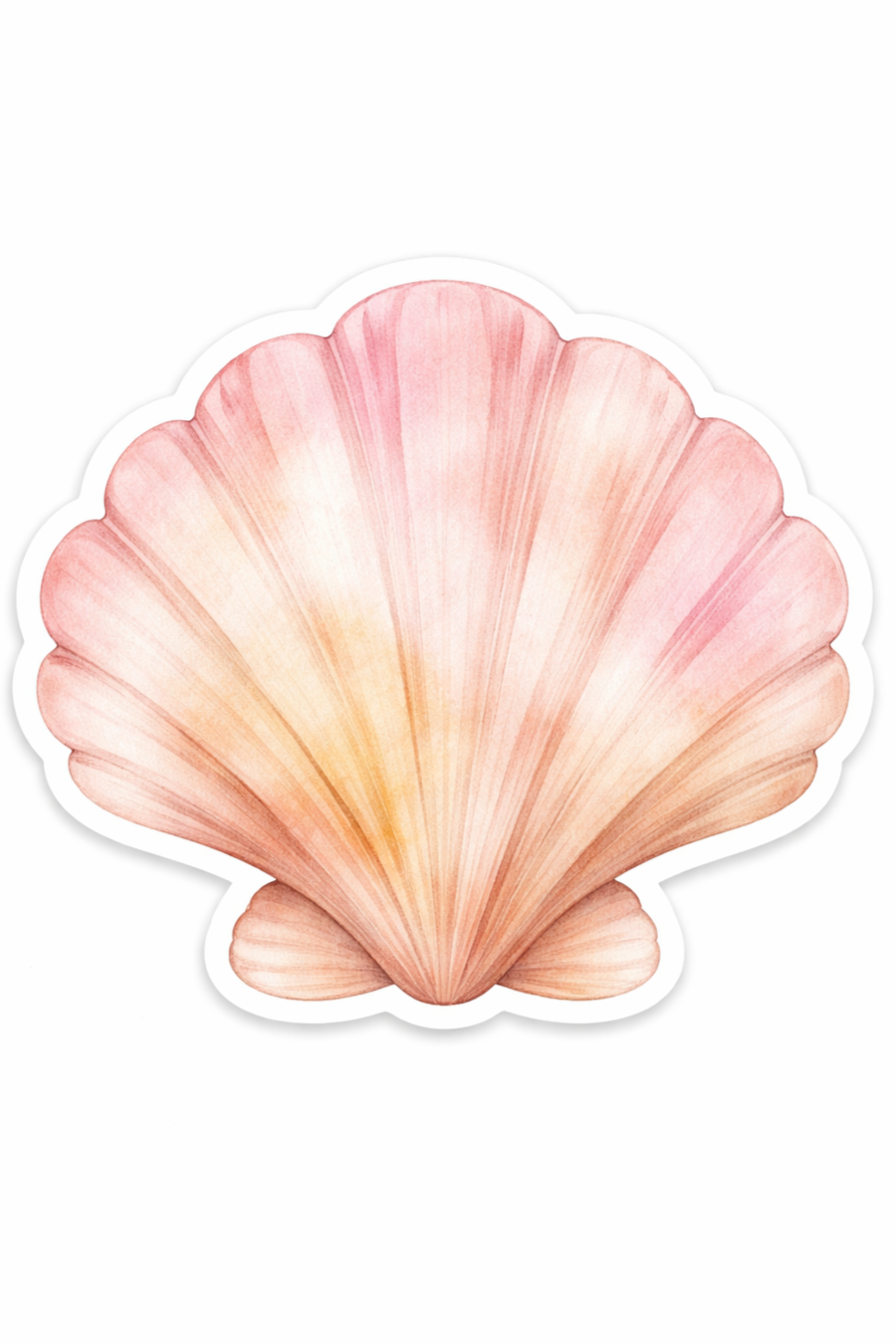SHELL.png