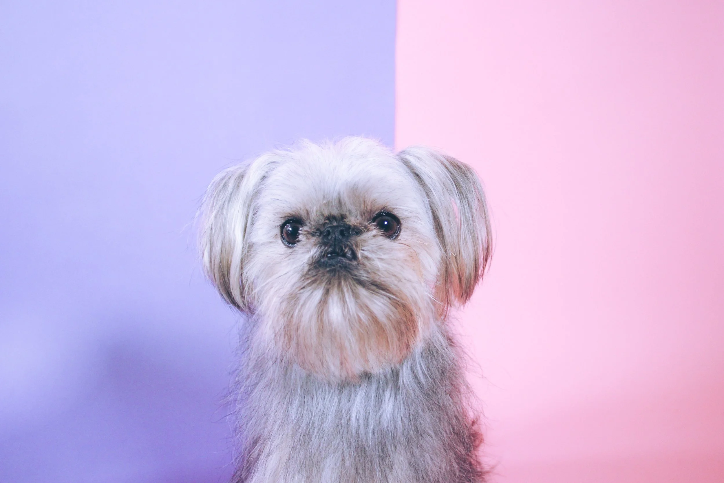 🖼️ georgie + nate family photos