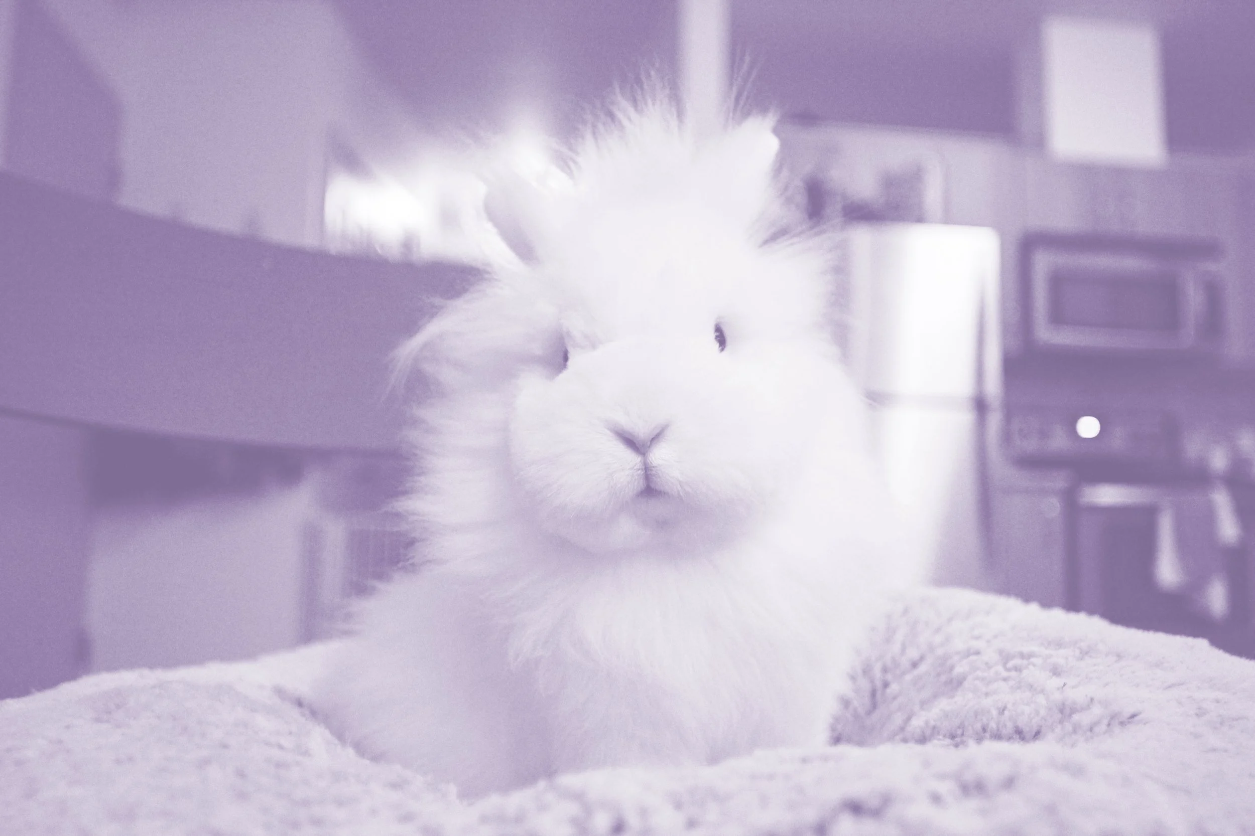 ✂️ jubilee trimming