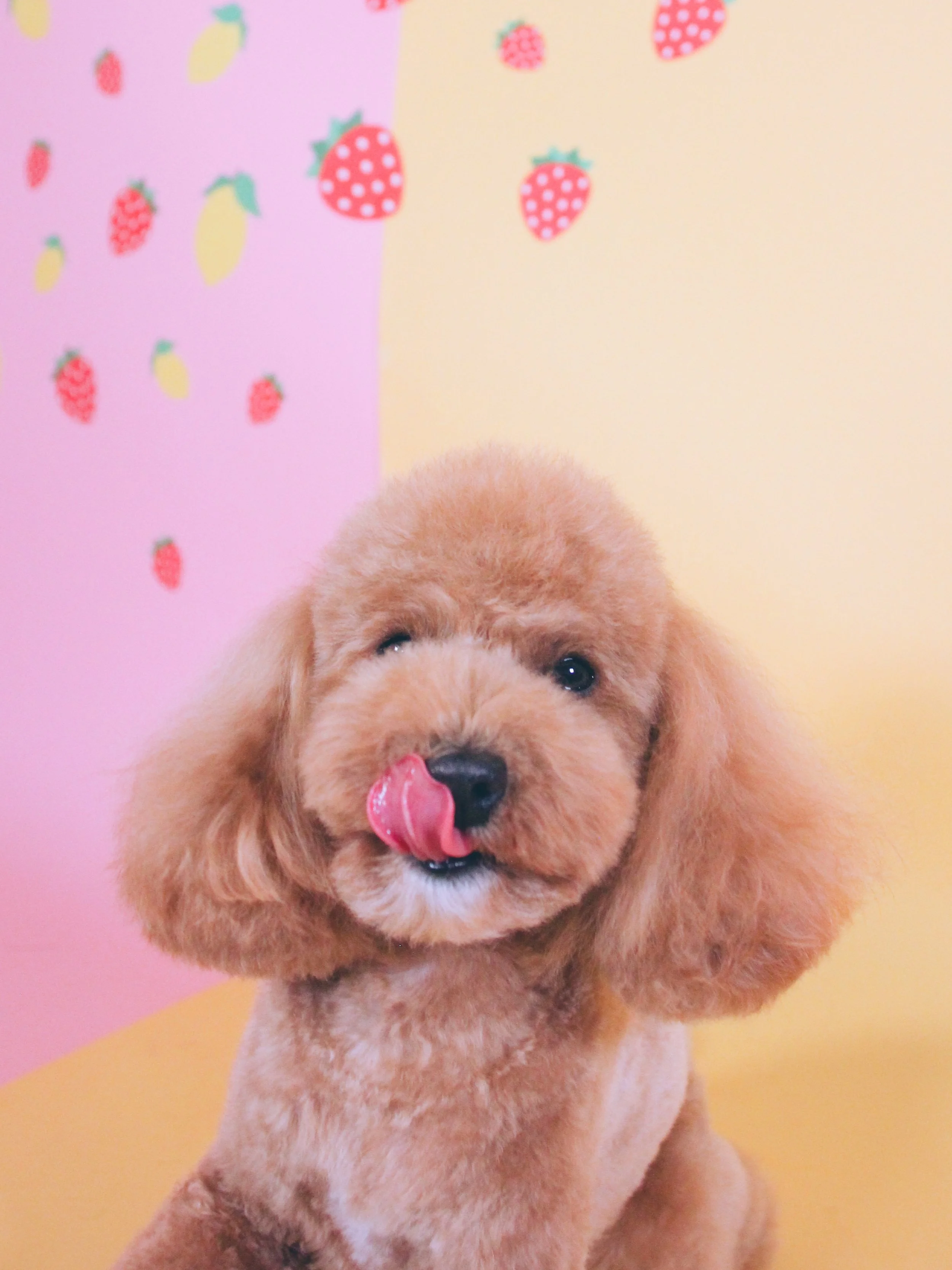 🍓 july specials! 🍋