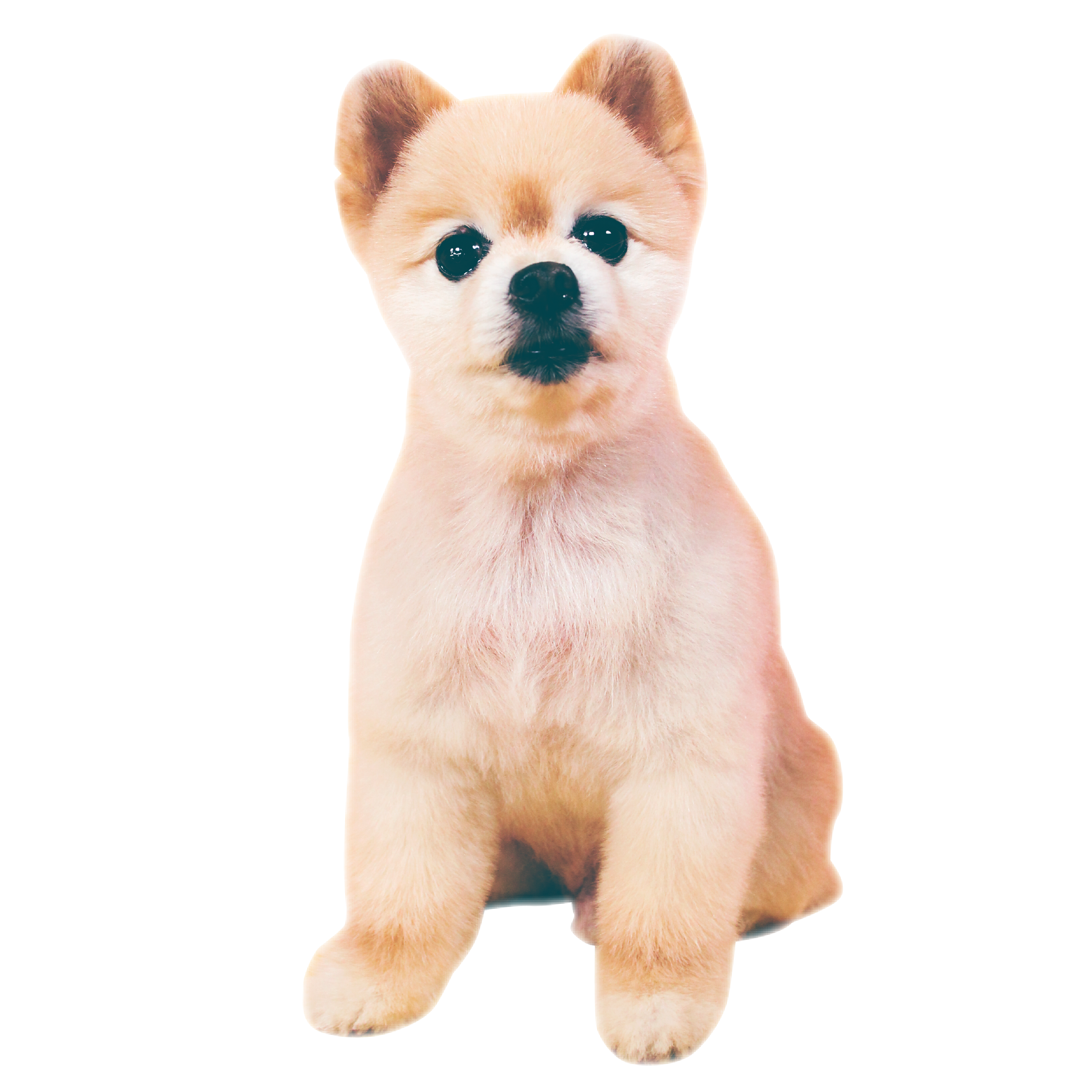 ☁️ harley ☁️