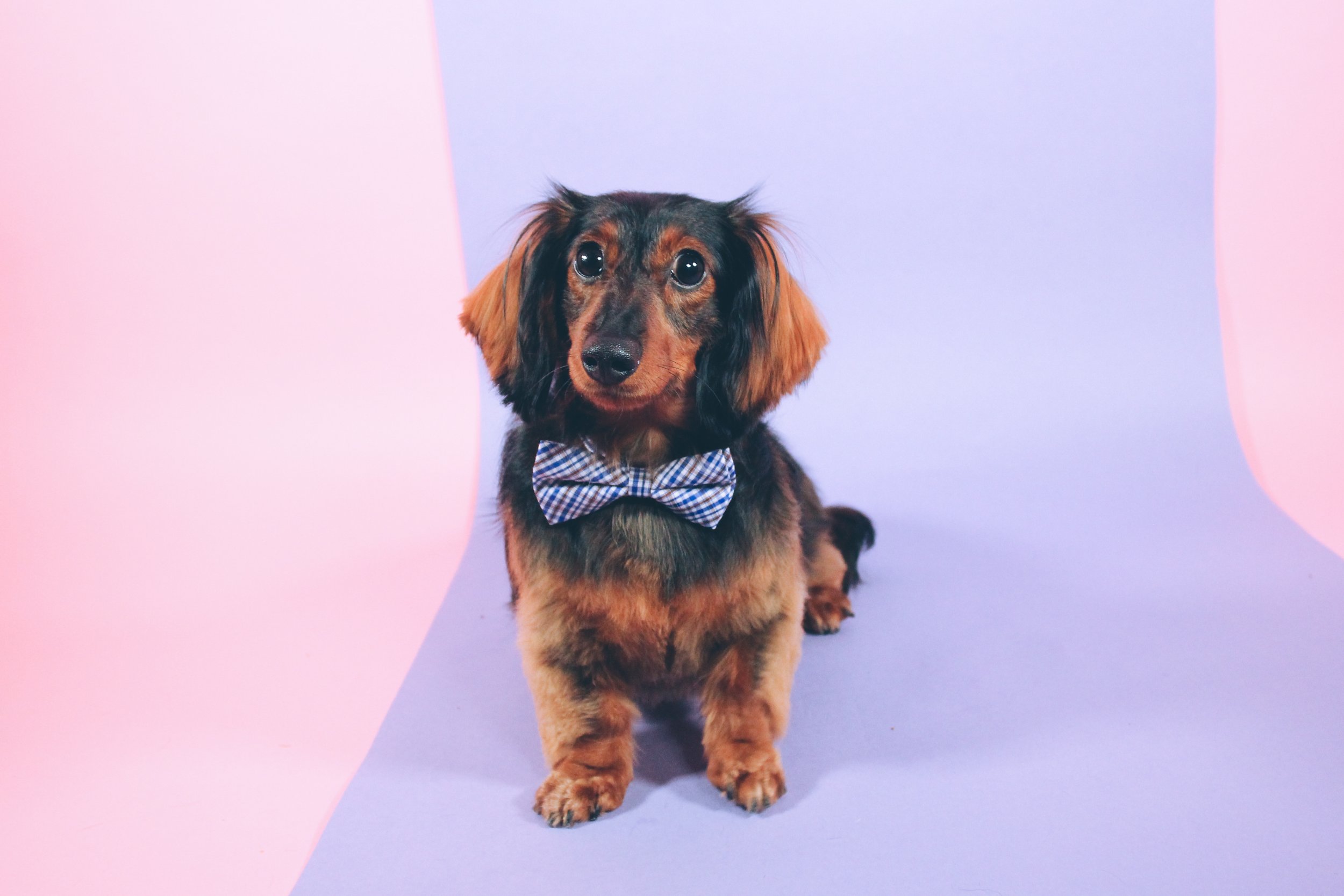 ☁️ murphy ☁️