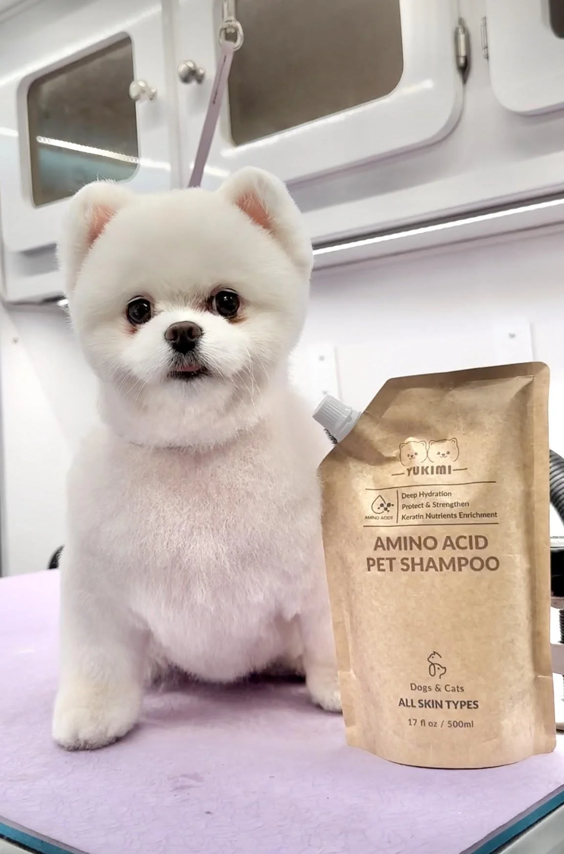 Yukimi amino acid shampoo // Cloud Review