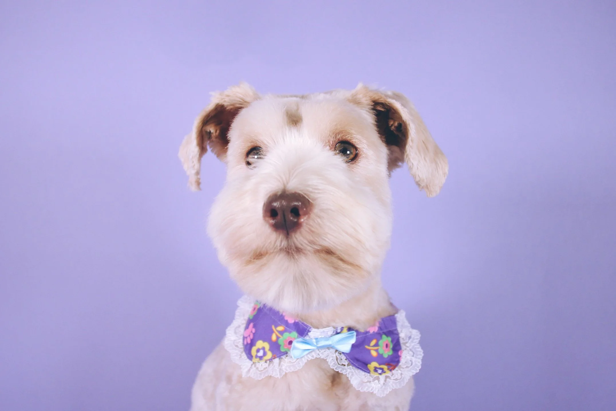 jules groom photos-49.jpg