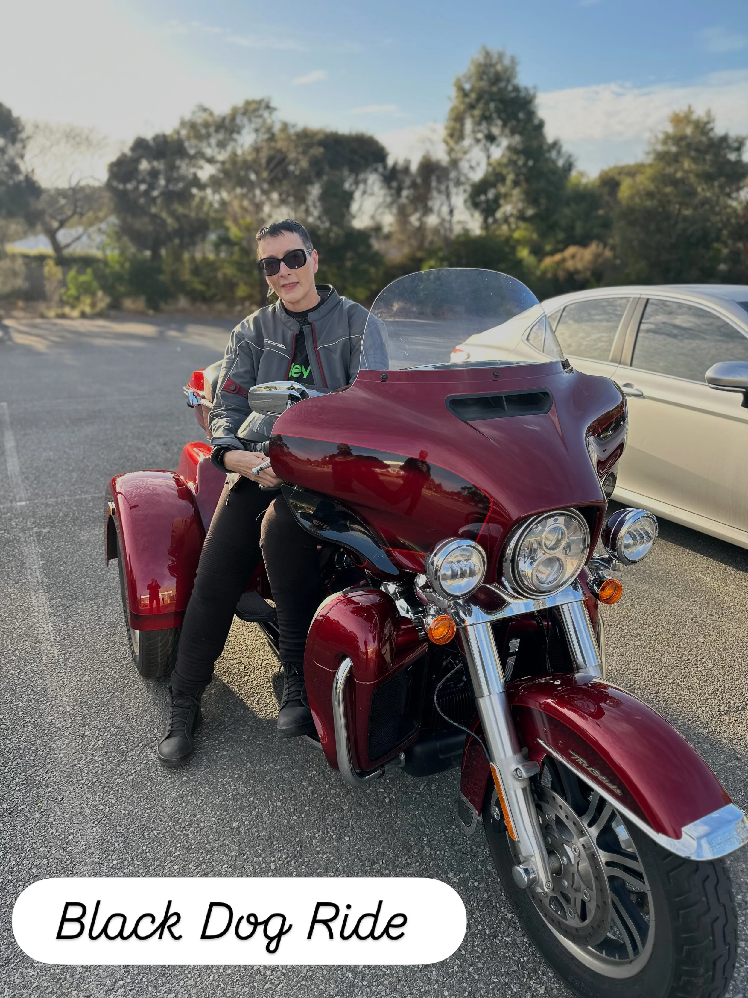 Harley-Davidson Harley-Davidson Tri Glide photo 2