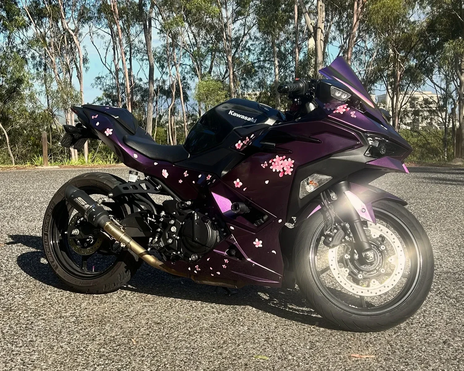 Kawasaki Ninja 500 (2025)