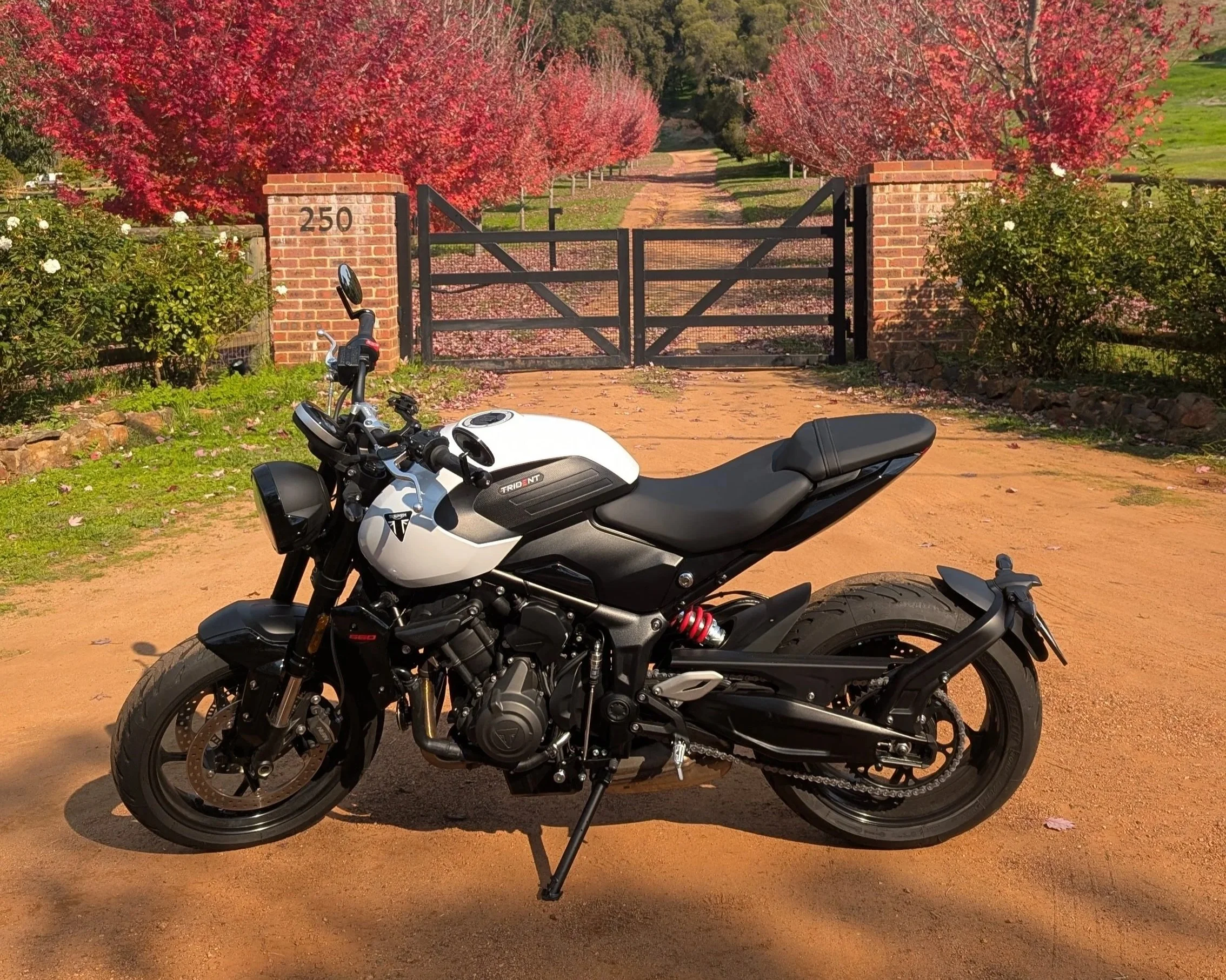 Triumph Trident 660