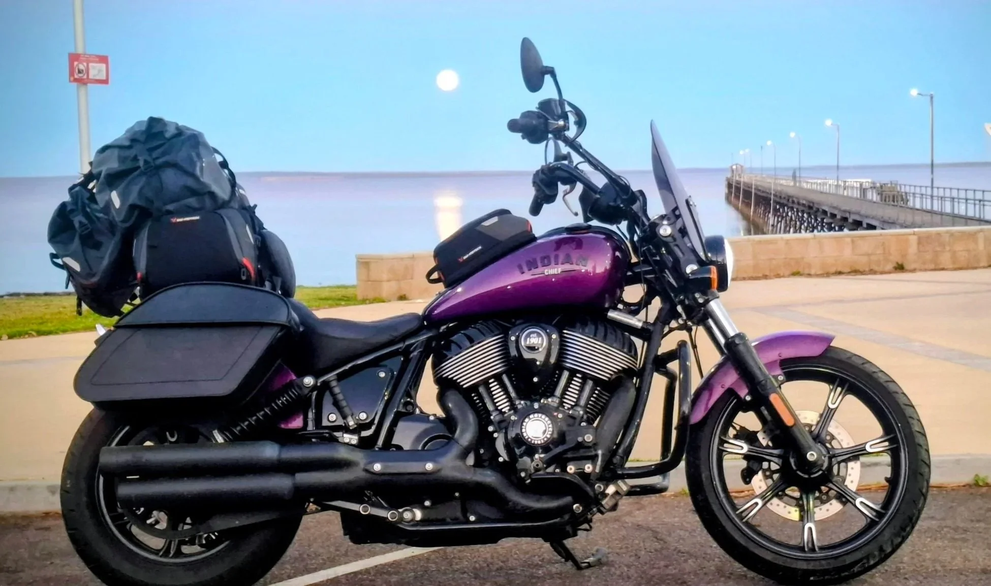 Indian Chief Dark Horse