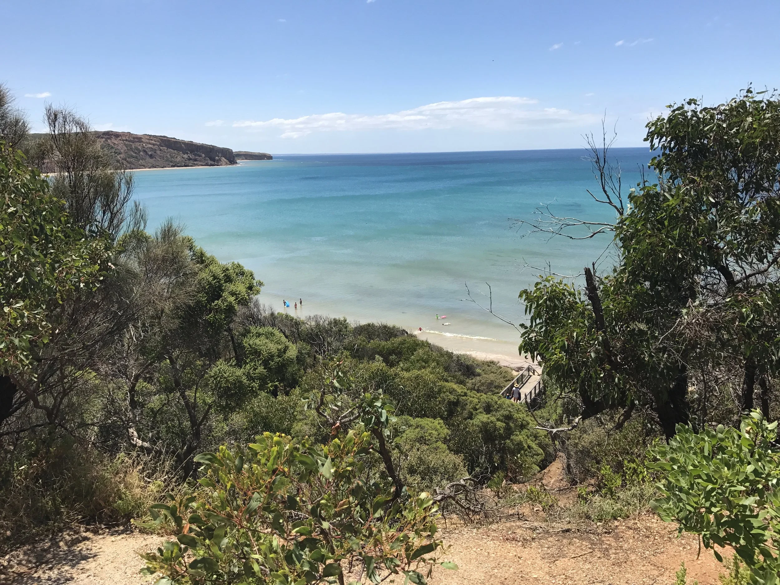 Point Addis Koorie Cultural Walk