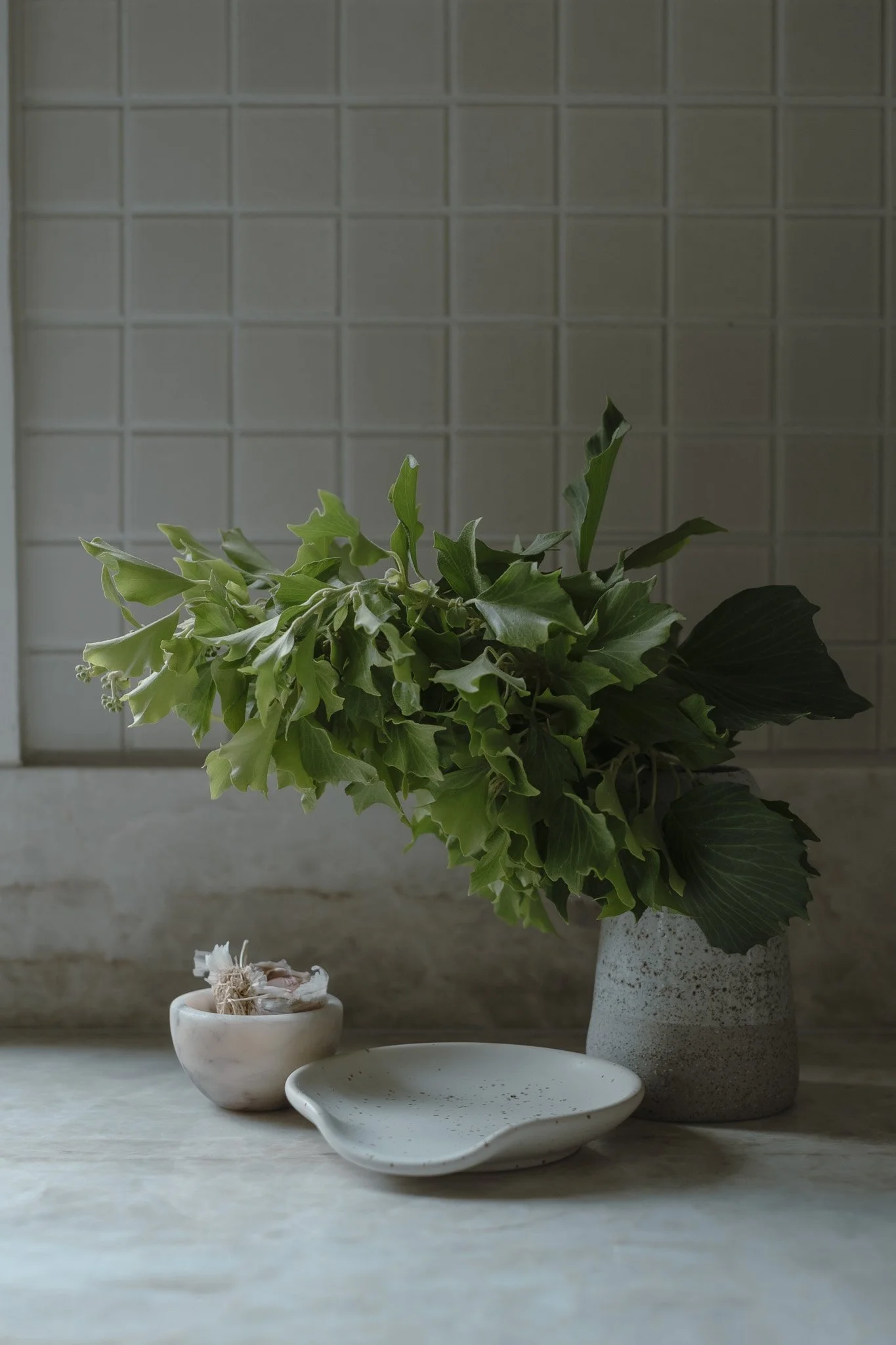 Barwon Heads kitchen