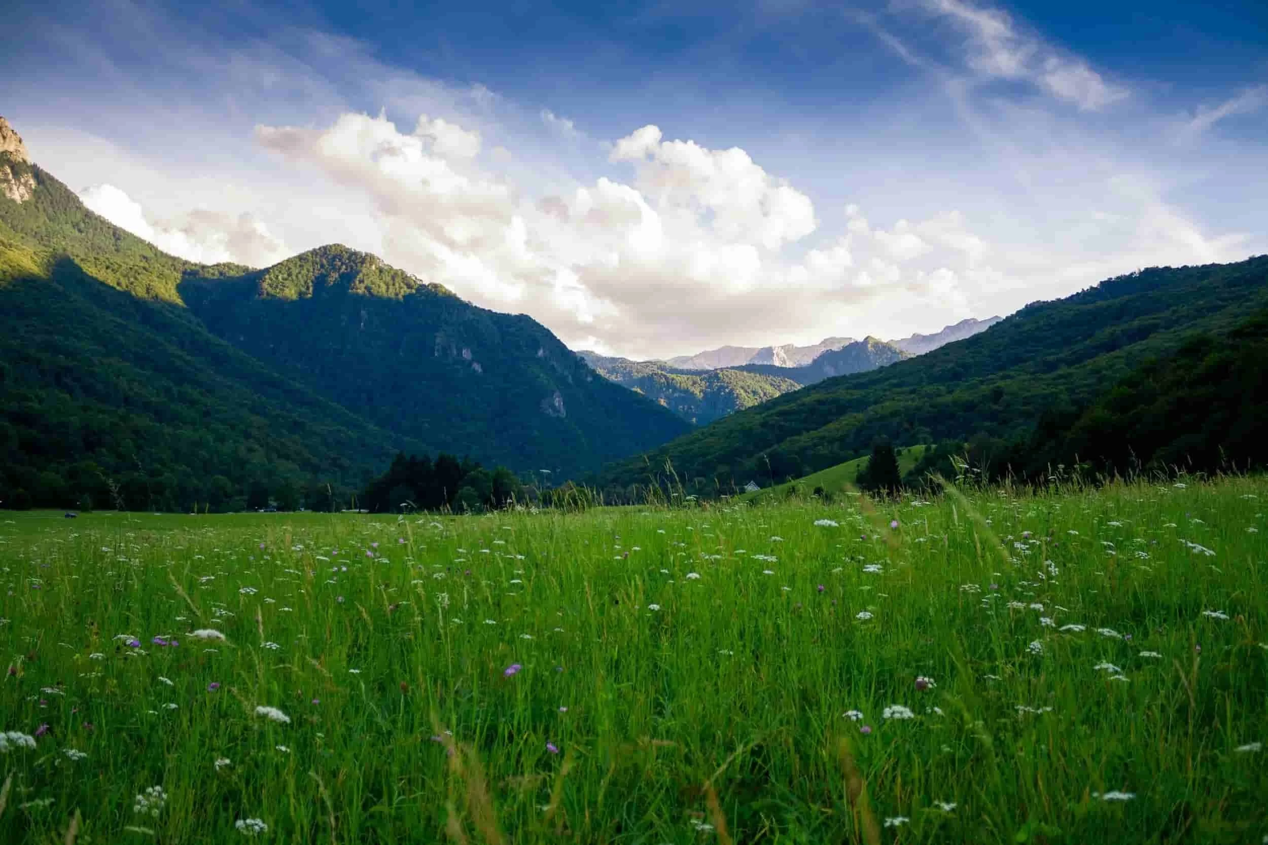 Scenic view of green mountains with a blue sky and white clouds, a grassy field with wildflowers in the foreground.
