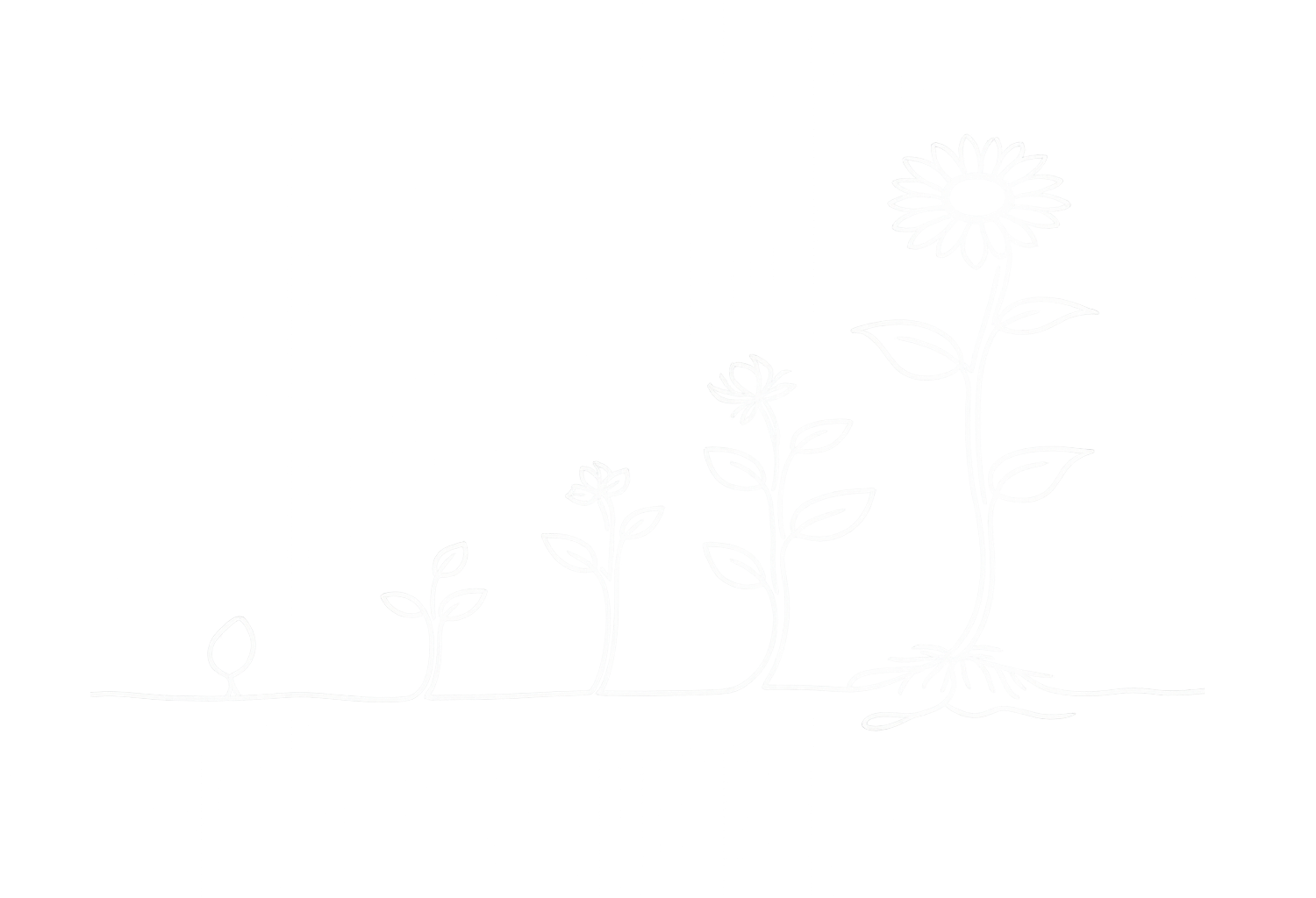 Progression of plant growth from sprout to full blooming flower, illustrated in white outline on black background.