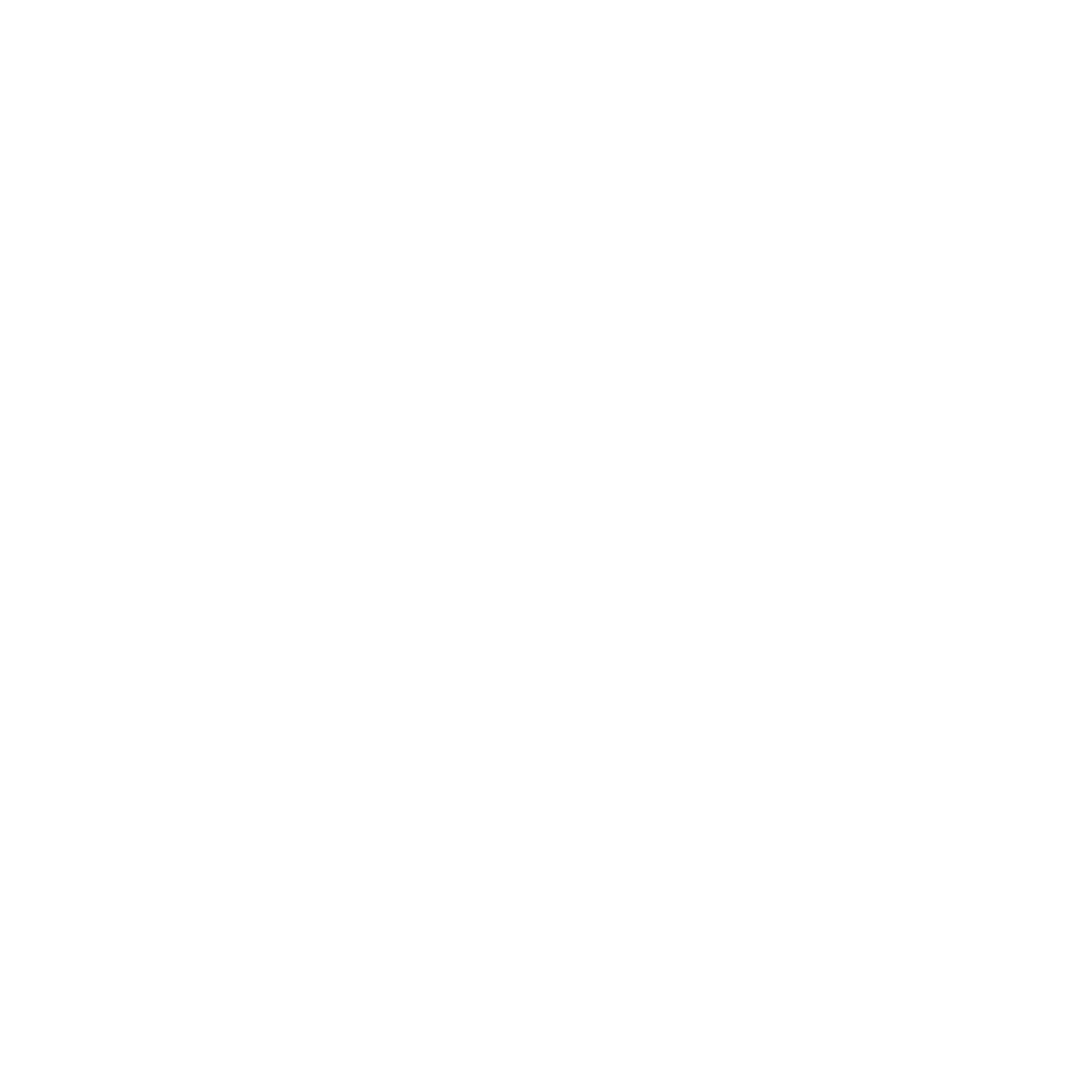 Black background with white text that reads 'RAPN' in bold letters.