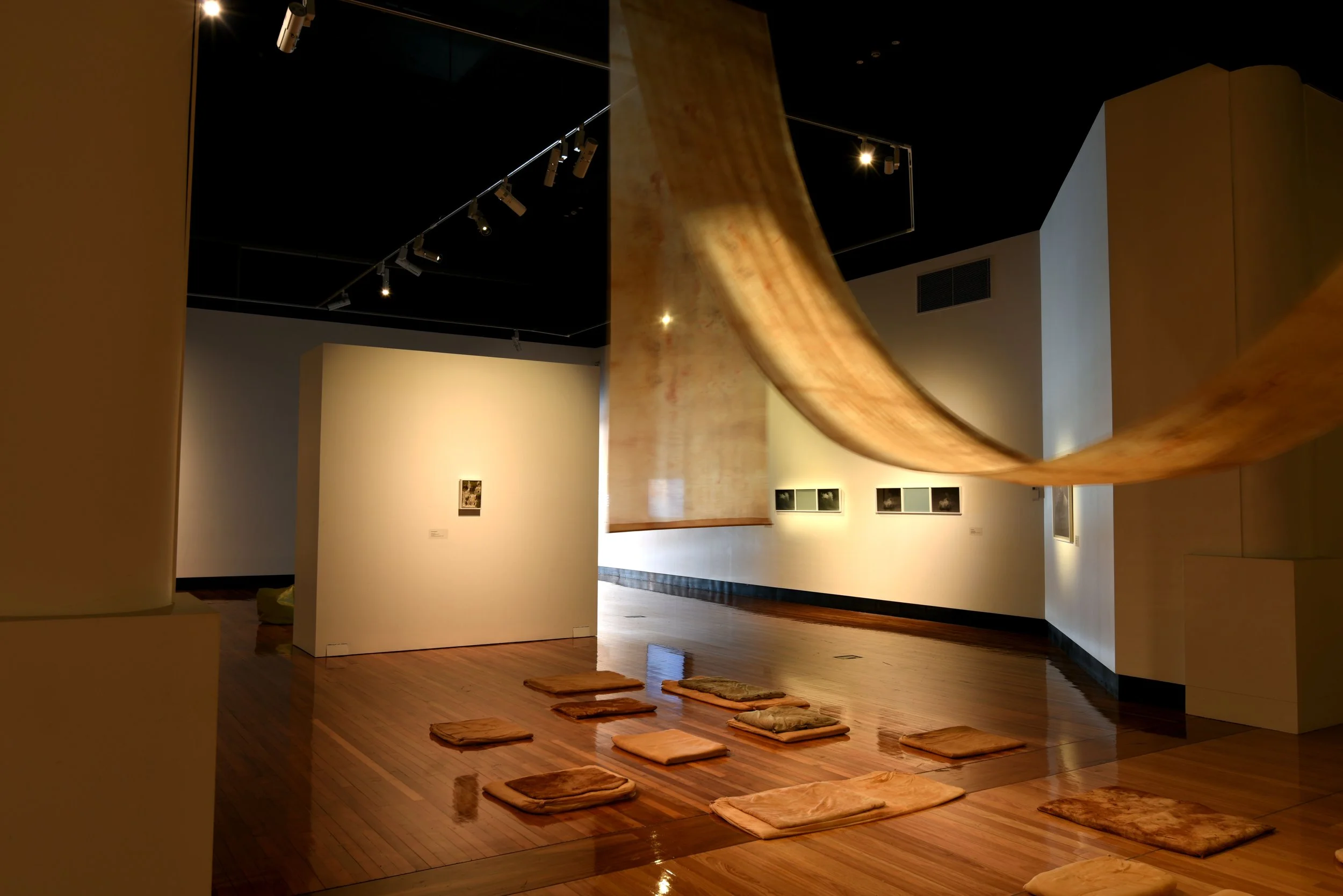 Attending Installation View looking from Gallery 2.jpg