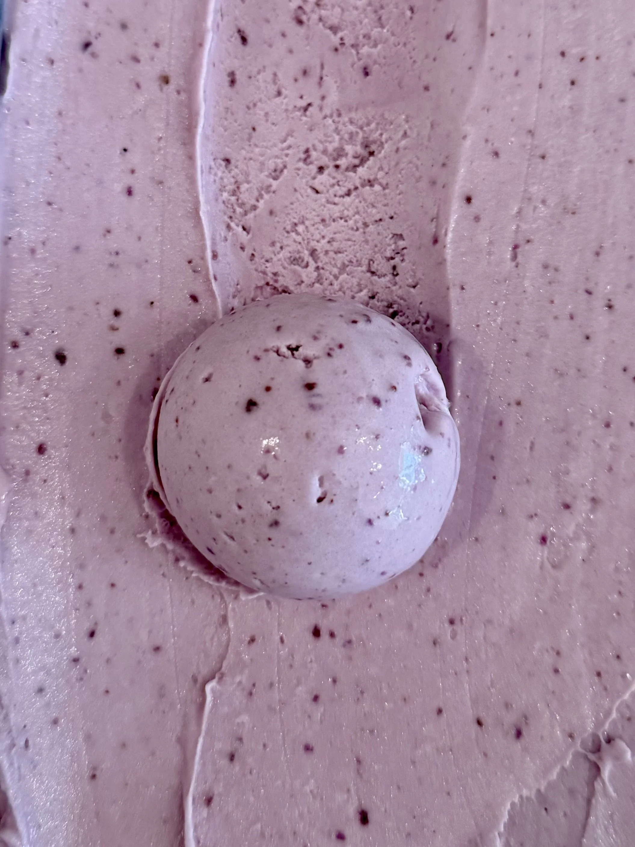 Photo May 22 2025, 4 07 09 PM.jpg