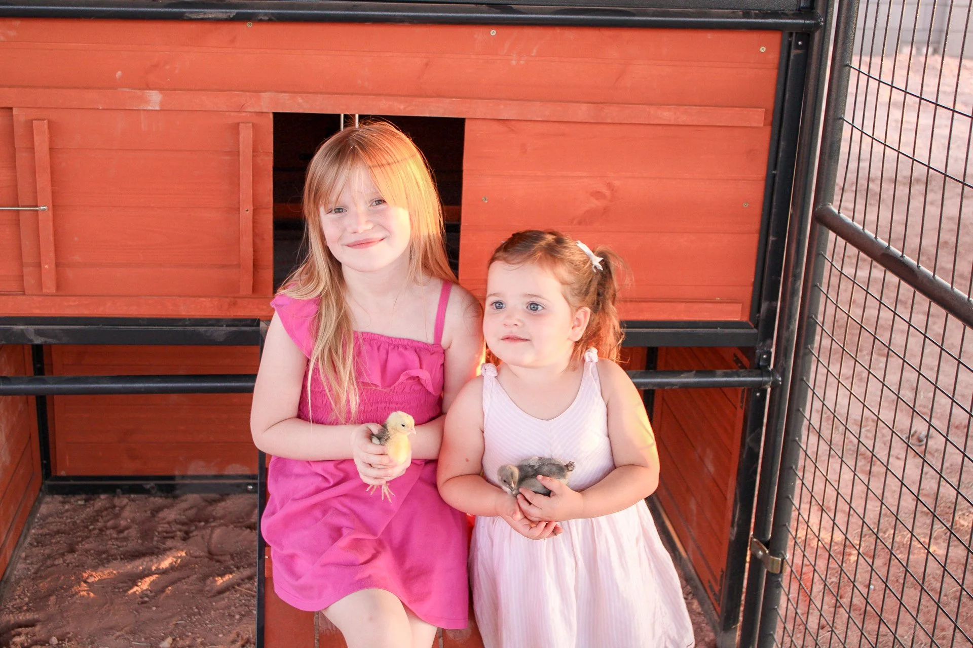 Mini Session