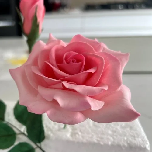 sugar_rose_pink.jpg
