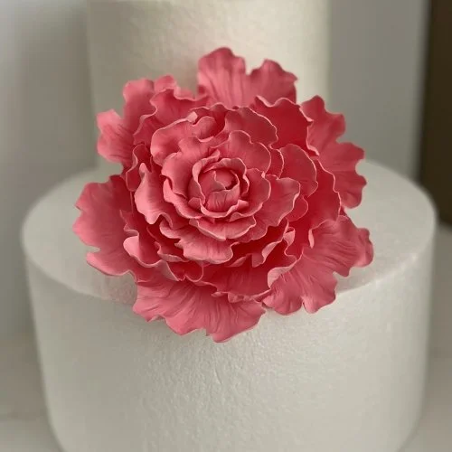 sugar_peony_pink.jpg