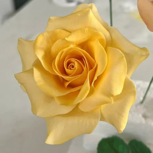 sugar_rose_yellow.jpg