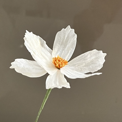 Wafer paper Cosmos for wedding birthday anniversary cakes