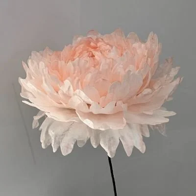Wafer-Peony1.jpg