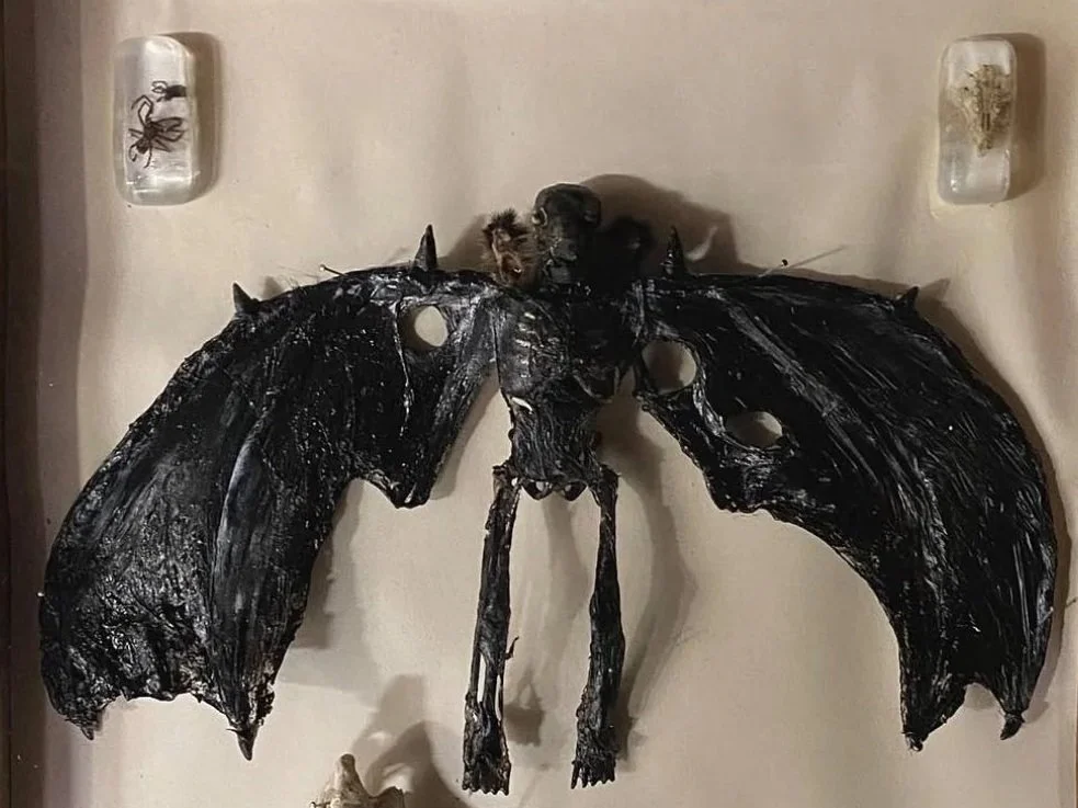 Sculpture Creatures (2021)