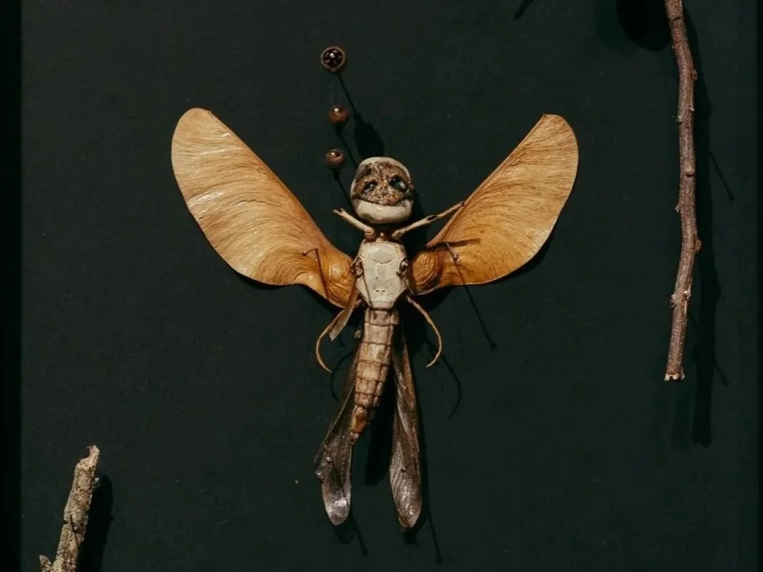 Sculpture Creatures (2026)