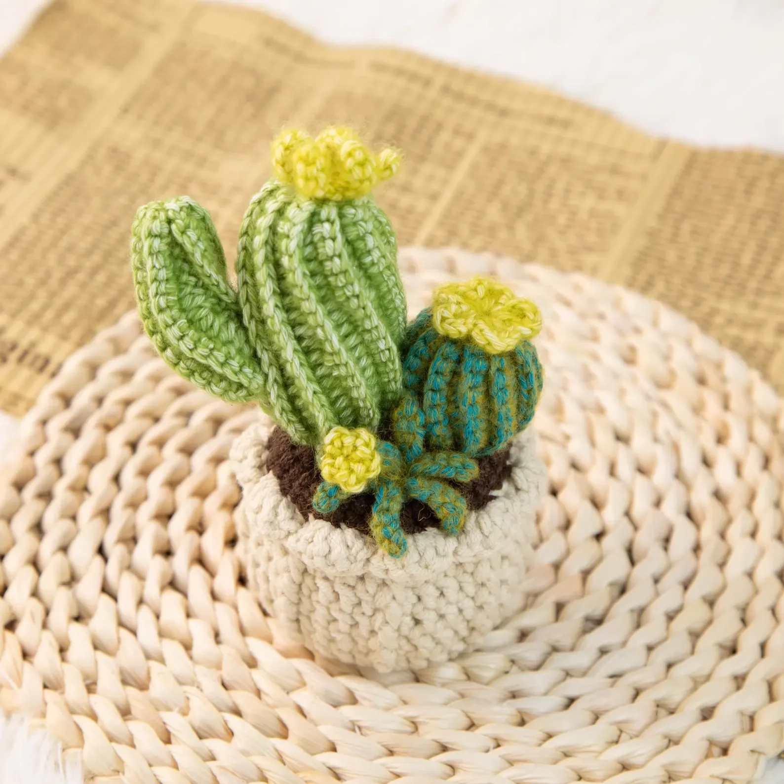 Crochet Cactus Plant Decor