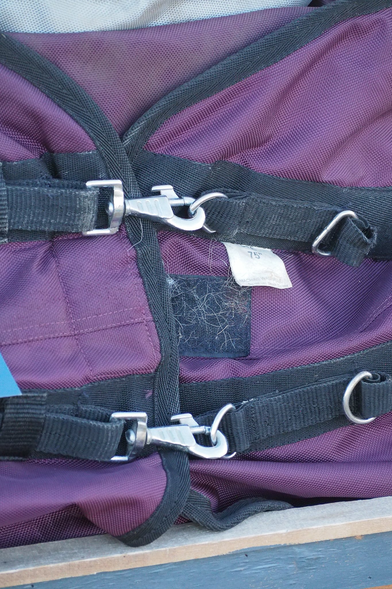 PA220205.jpg