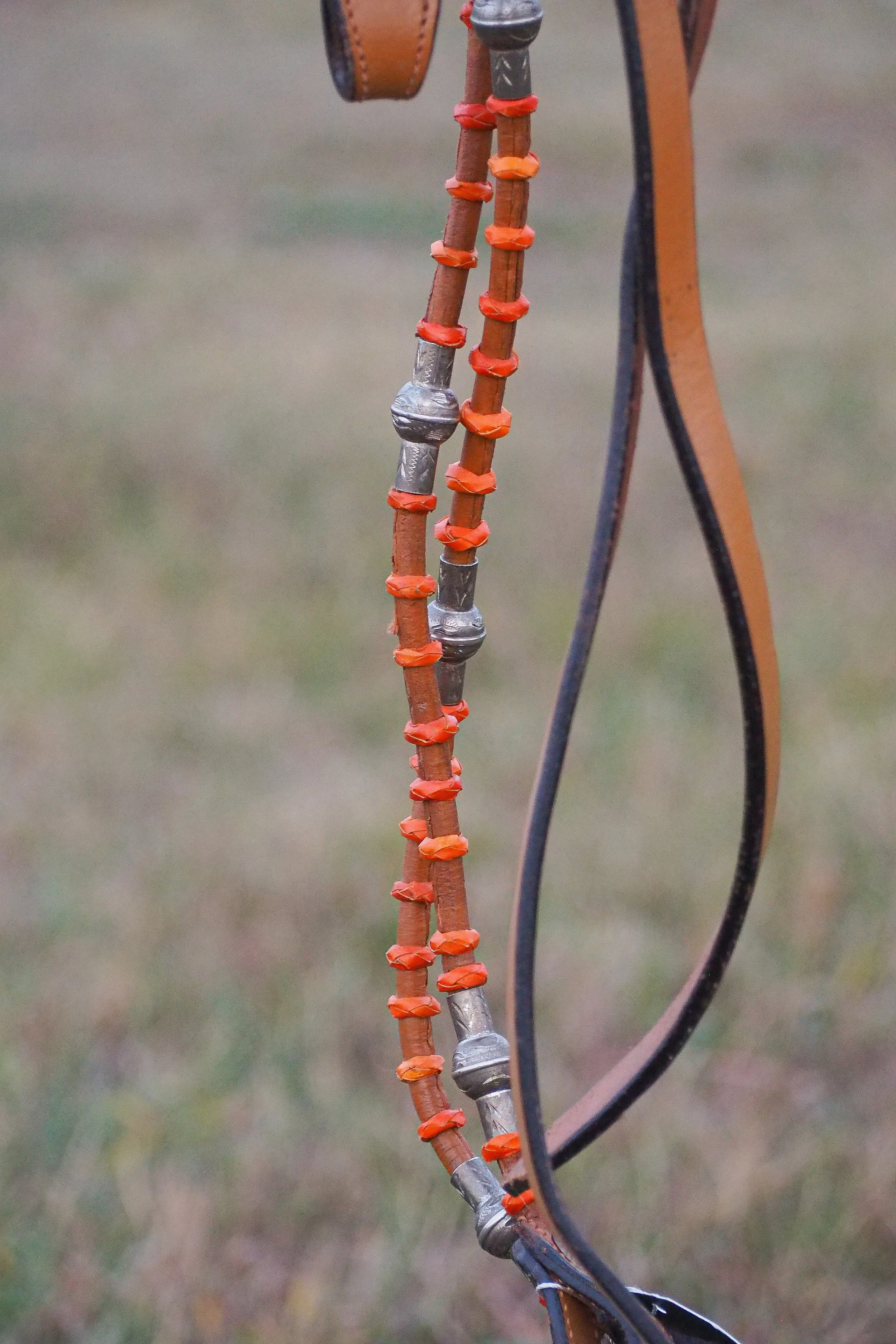 PA010579.jpg