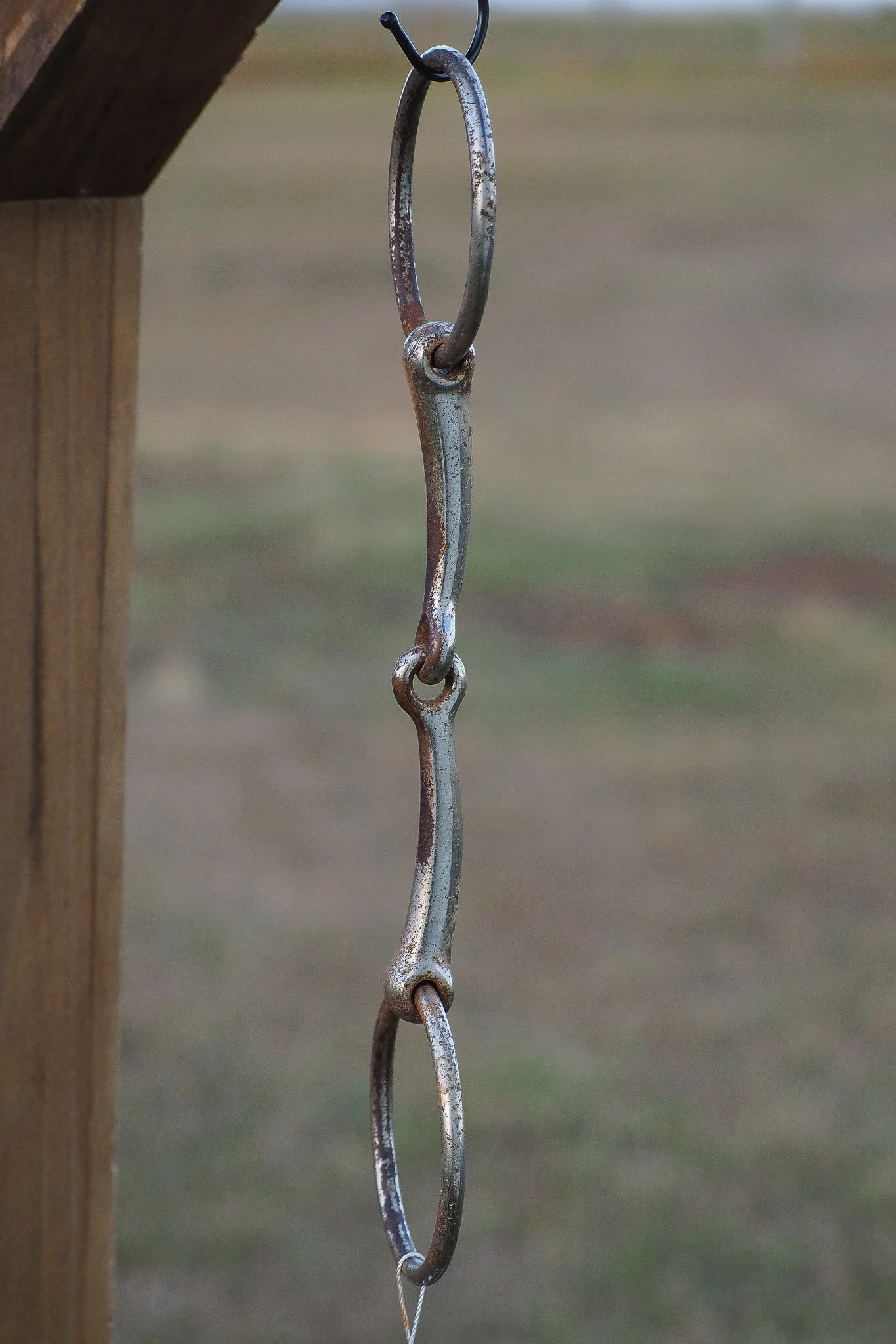 PA030624.jpg
