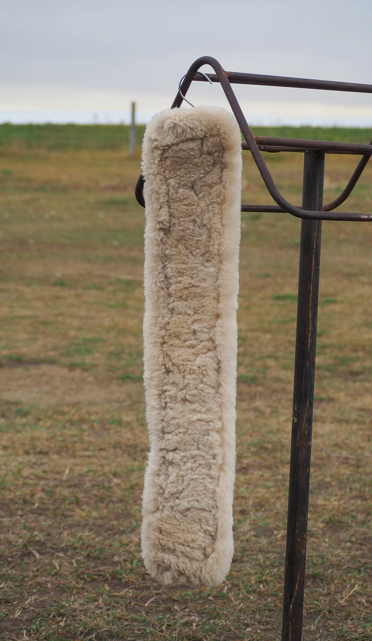 PA020496.jpg
