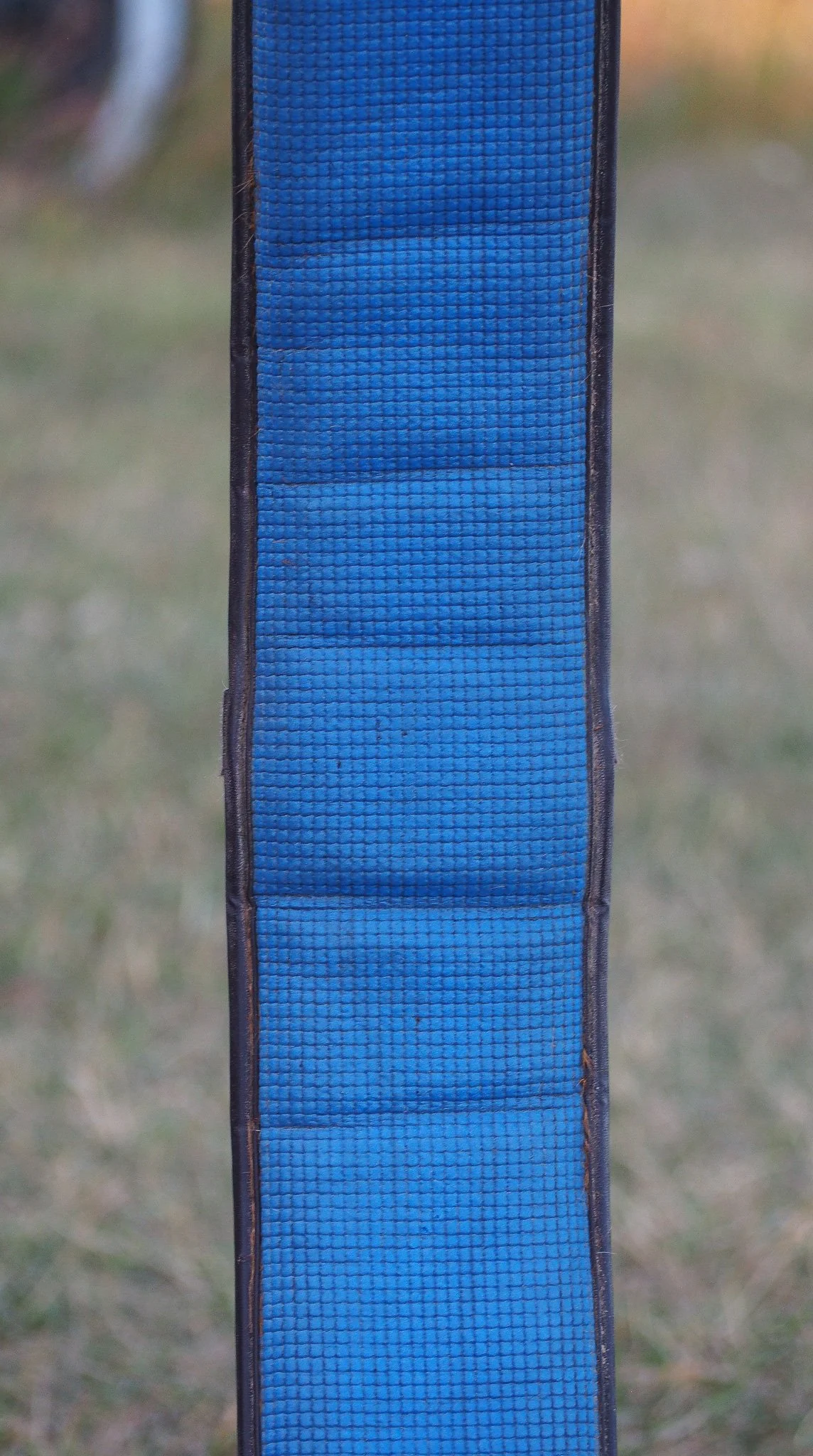 PA030542.jpg