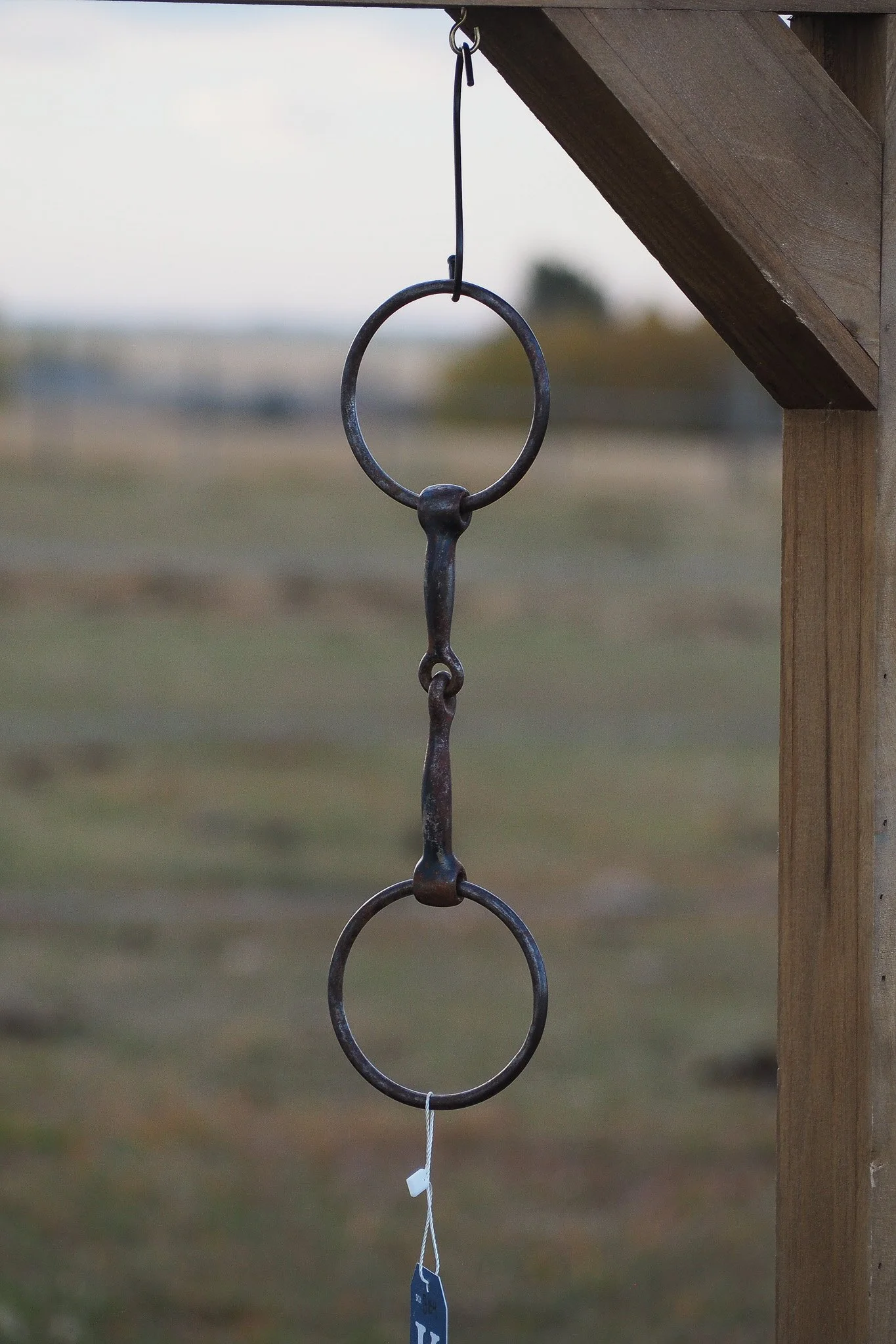 PA030611.jpg