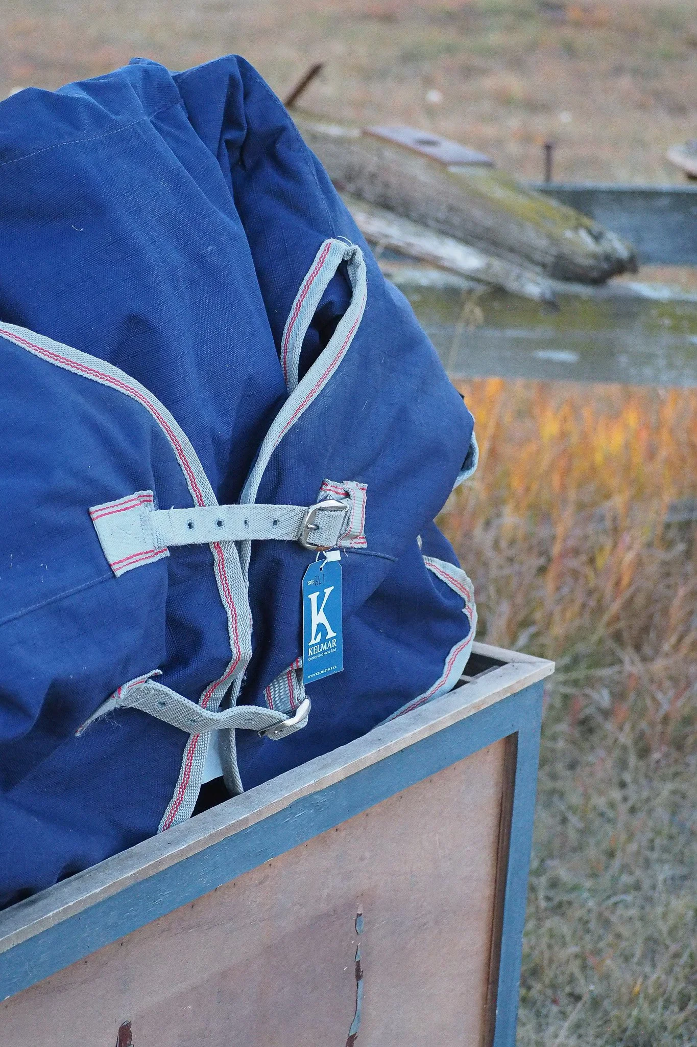 PA220228.jpg