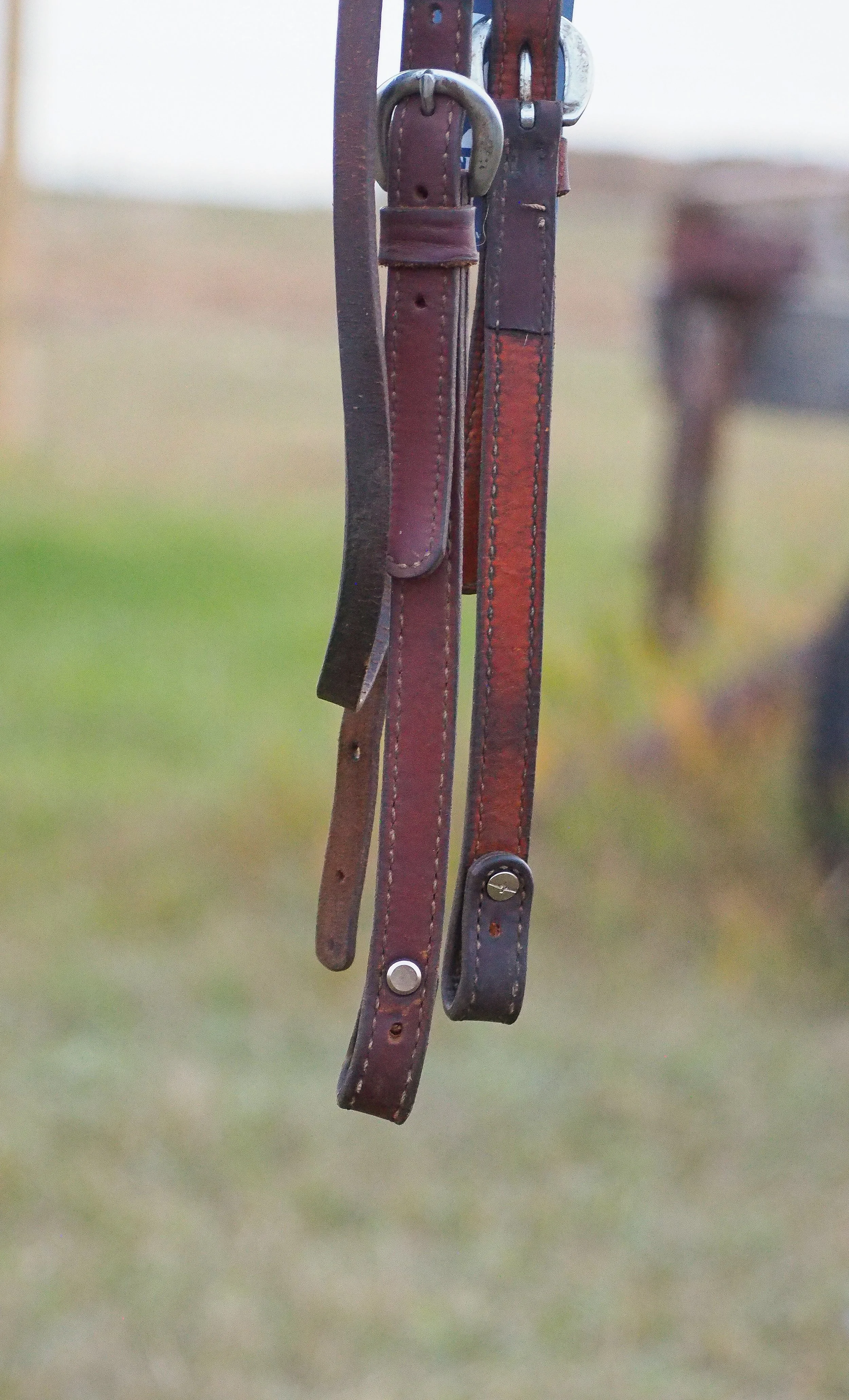 PA010585.jpg