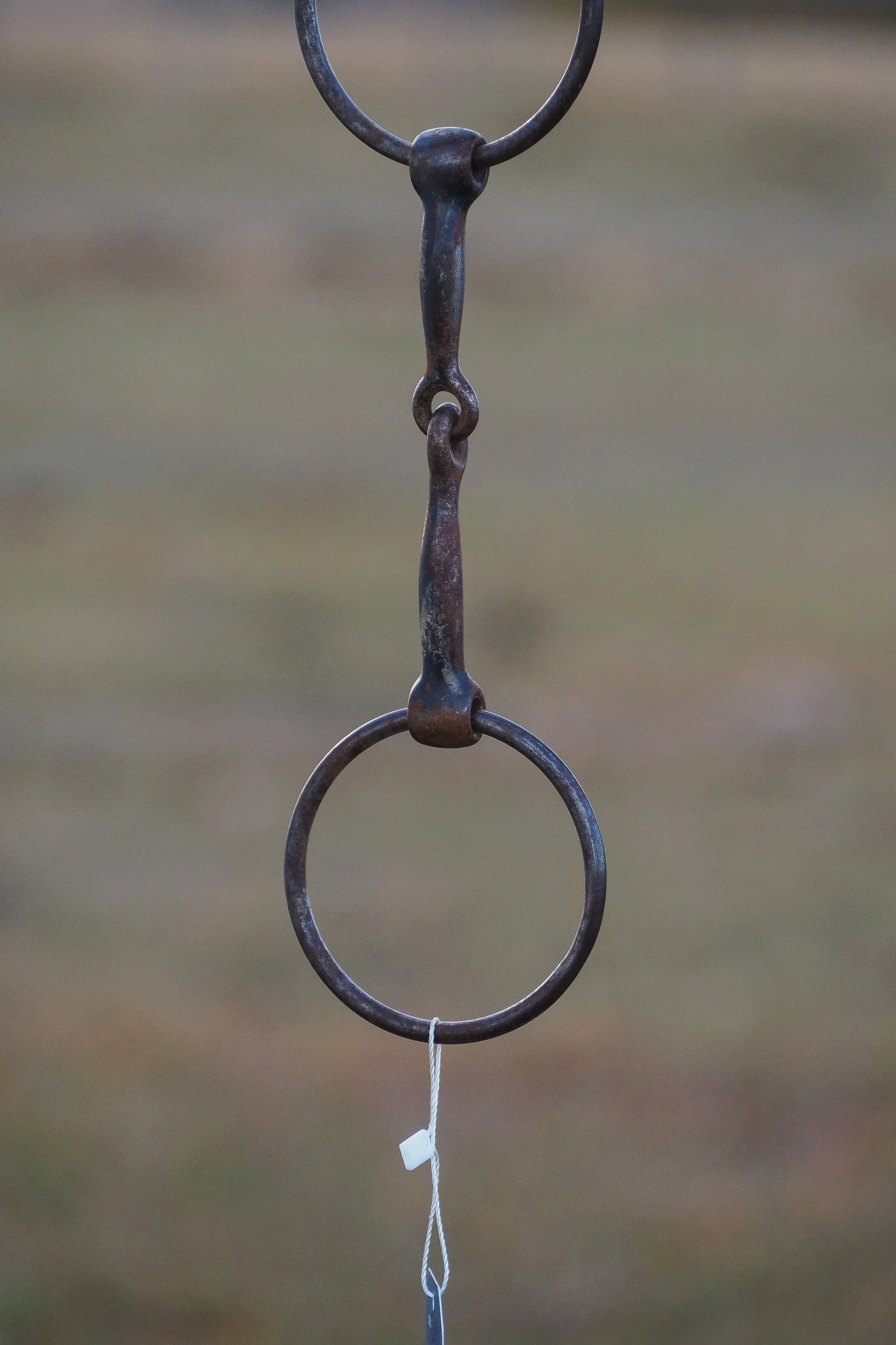 PA030613.jpg