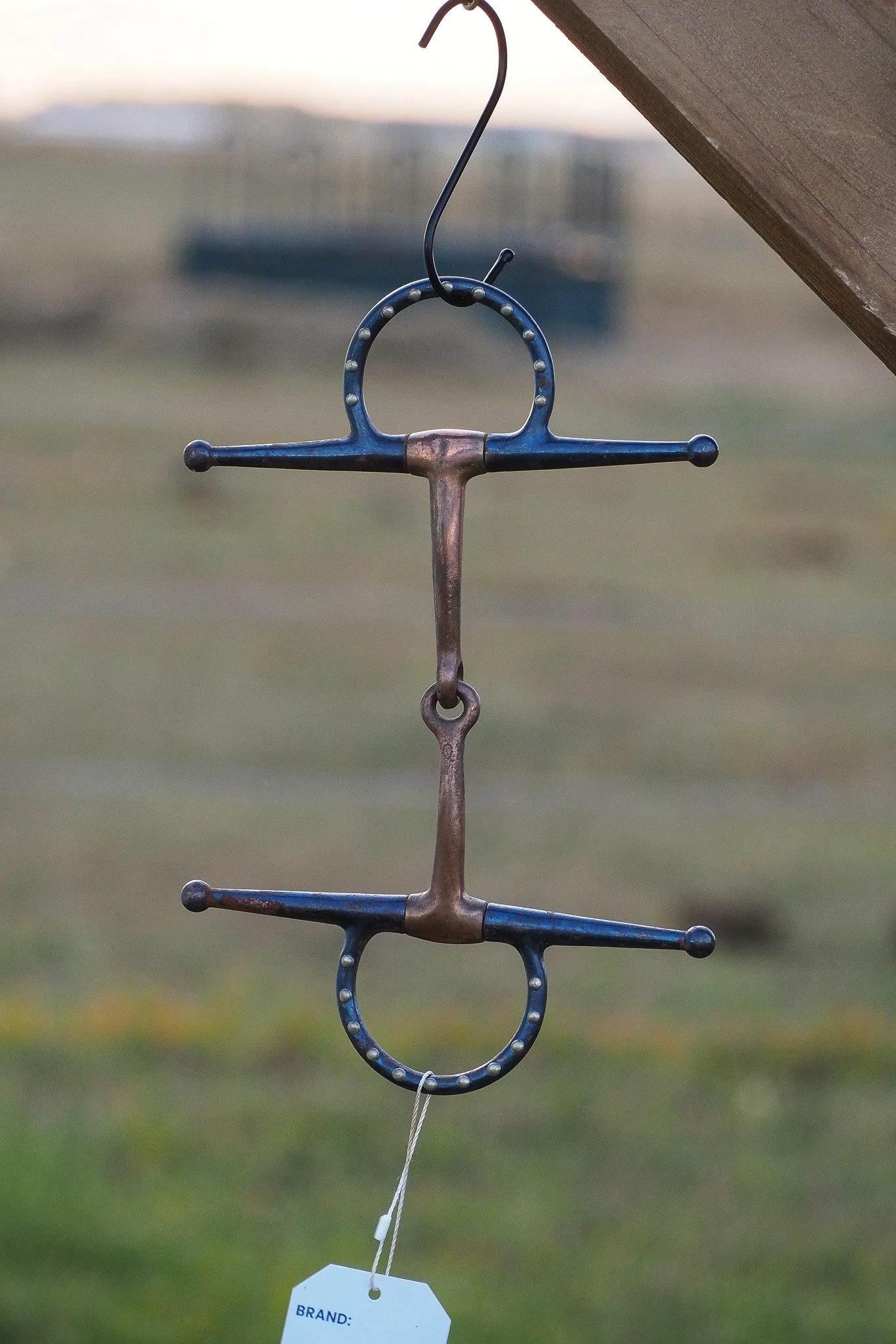 PA030669.jpg