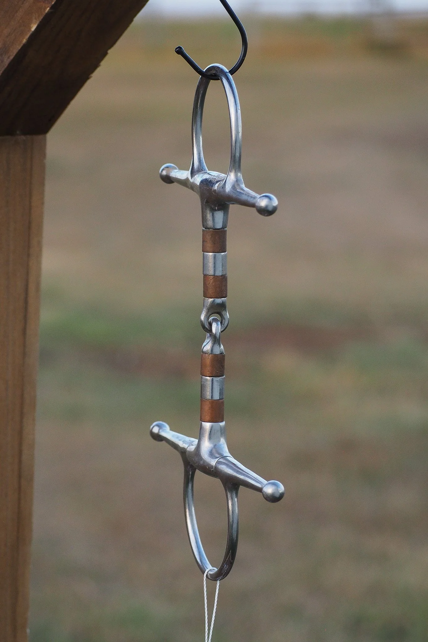 PA030656.jpg