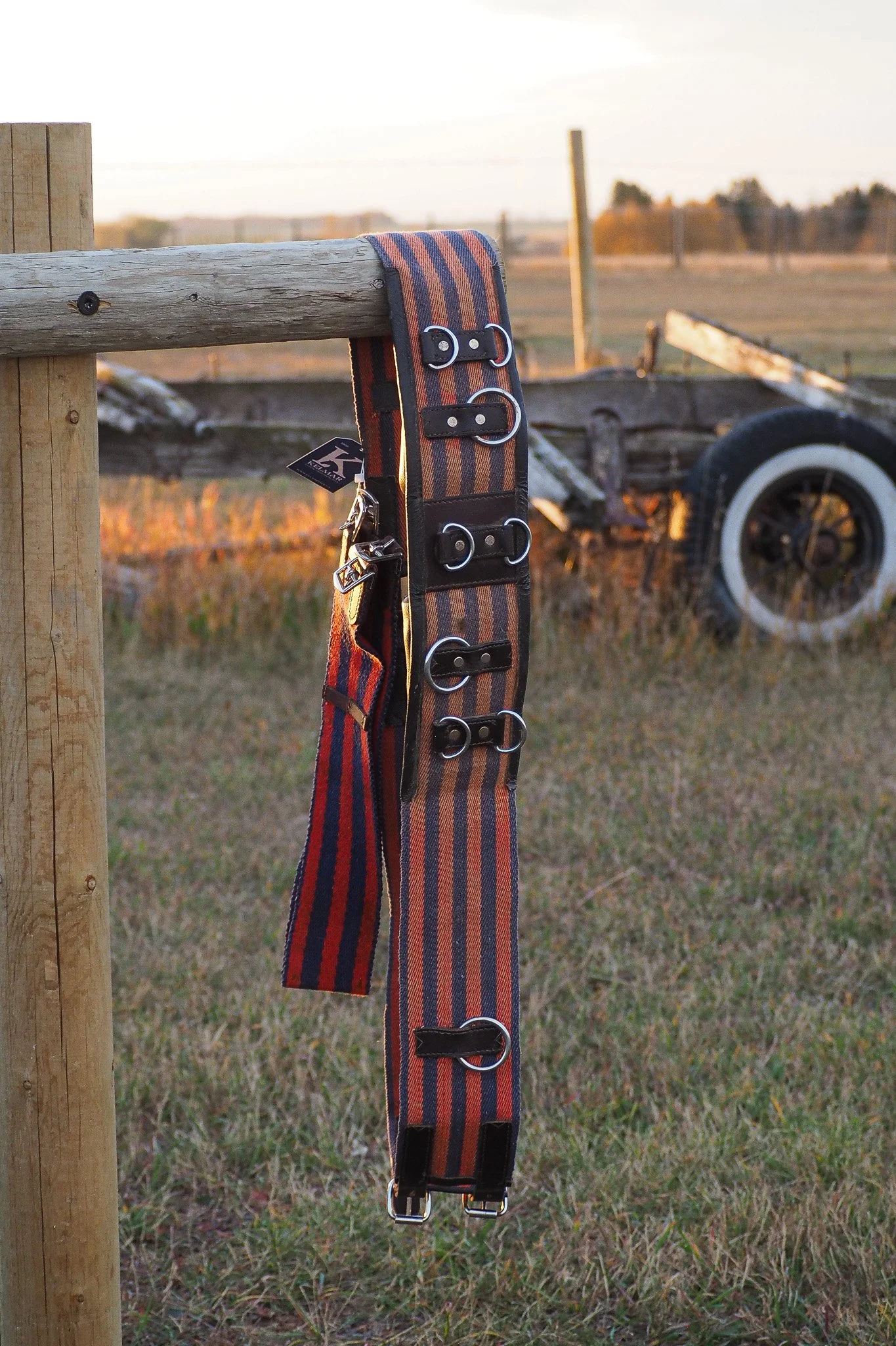 PA070641.jpg